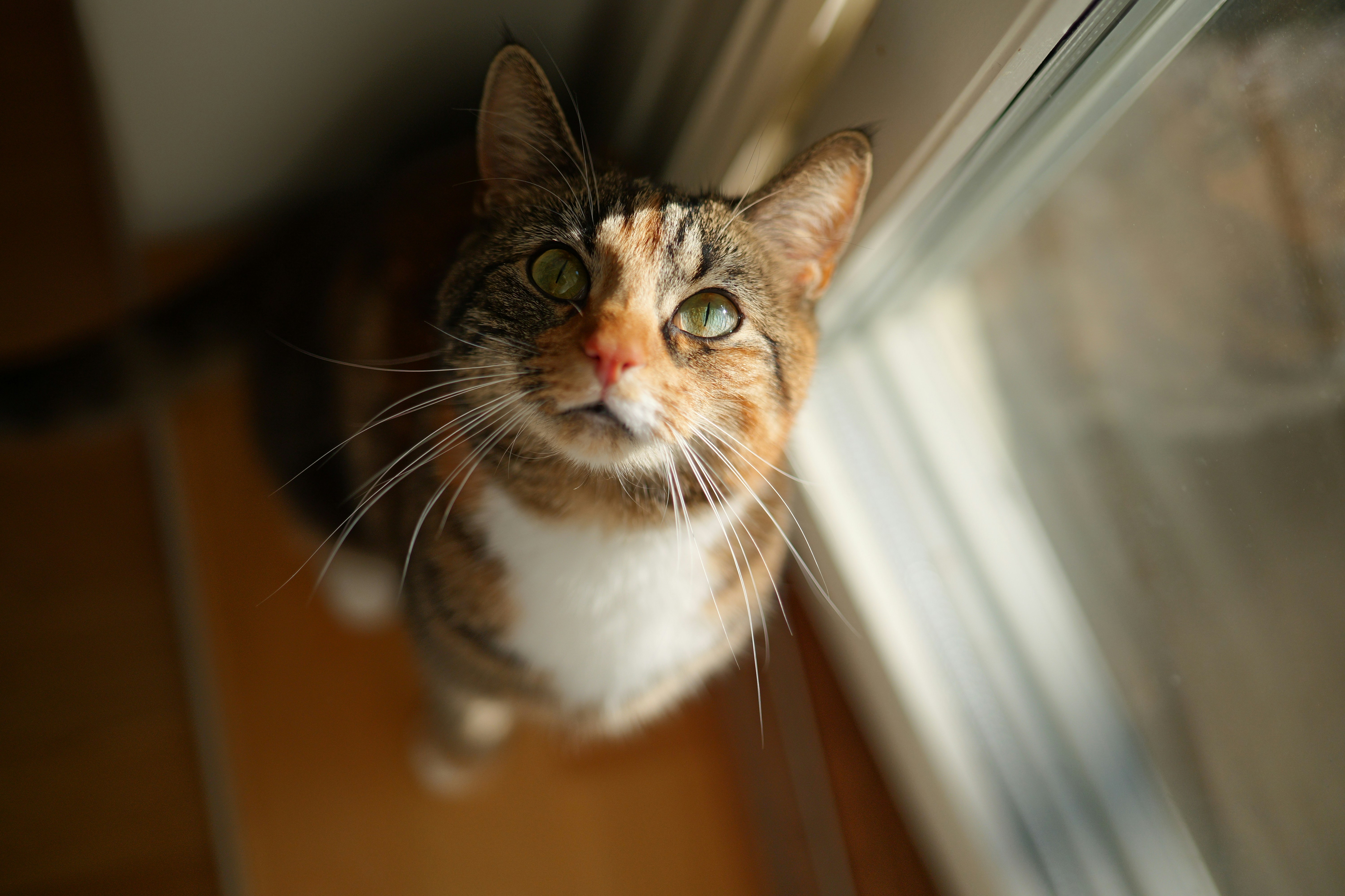 photo-1708870195116-ce2ec6bc0c4b?ixid=M3
