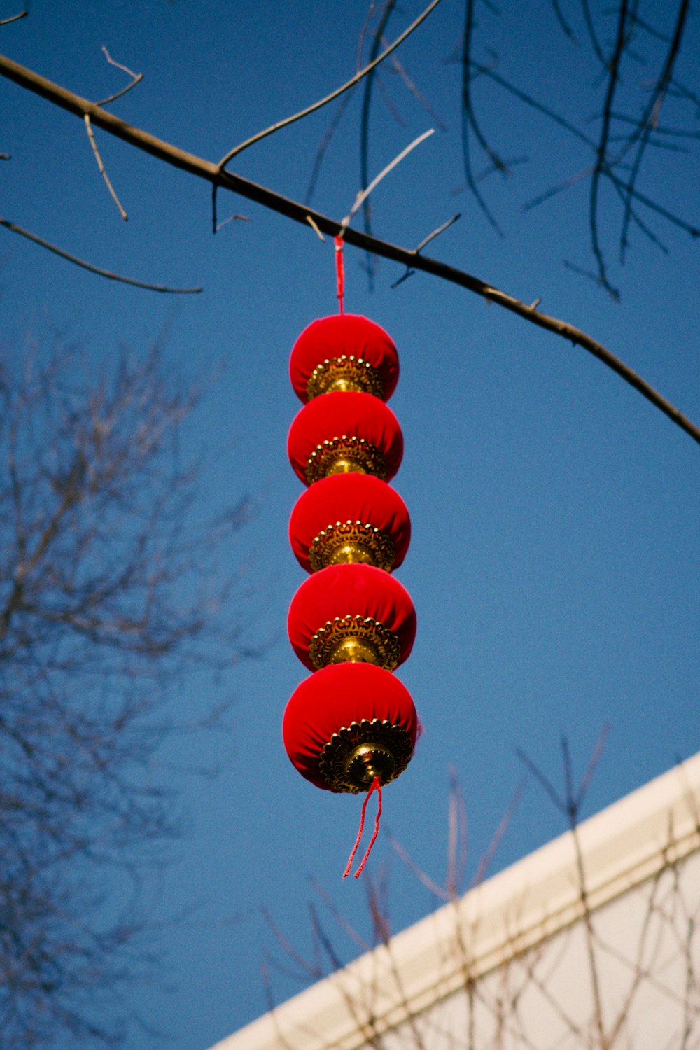 un montón de farolillos rojos colgando de un árbol