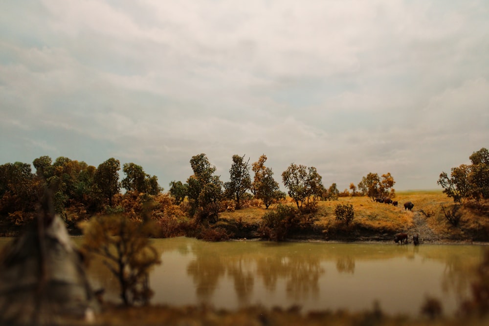 a lake surrounded by trees and grass under a cloudy sky