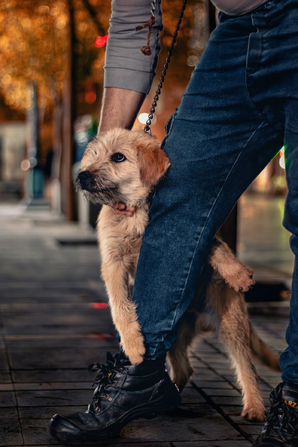 a person holding a dog on a leash