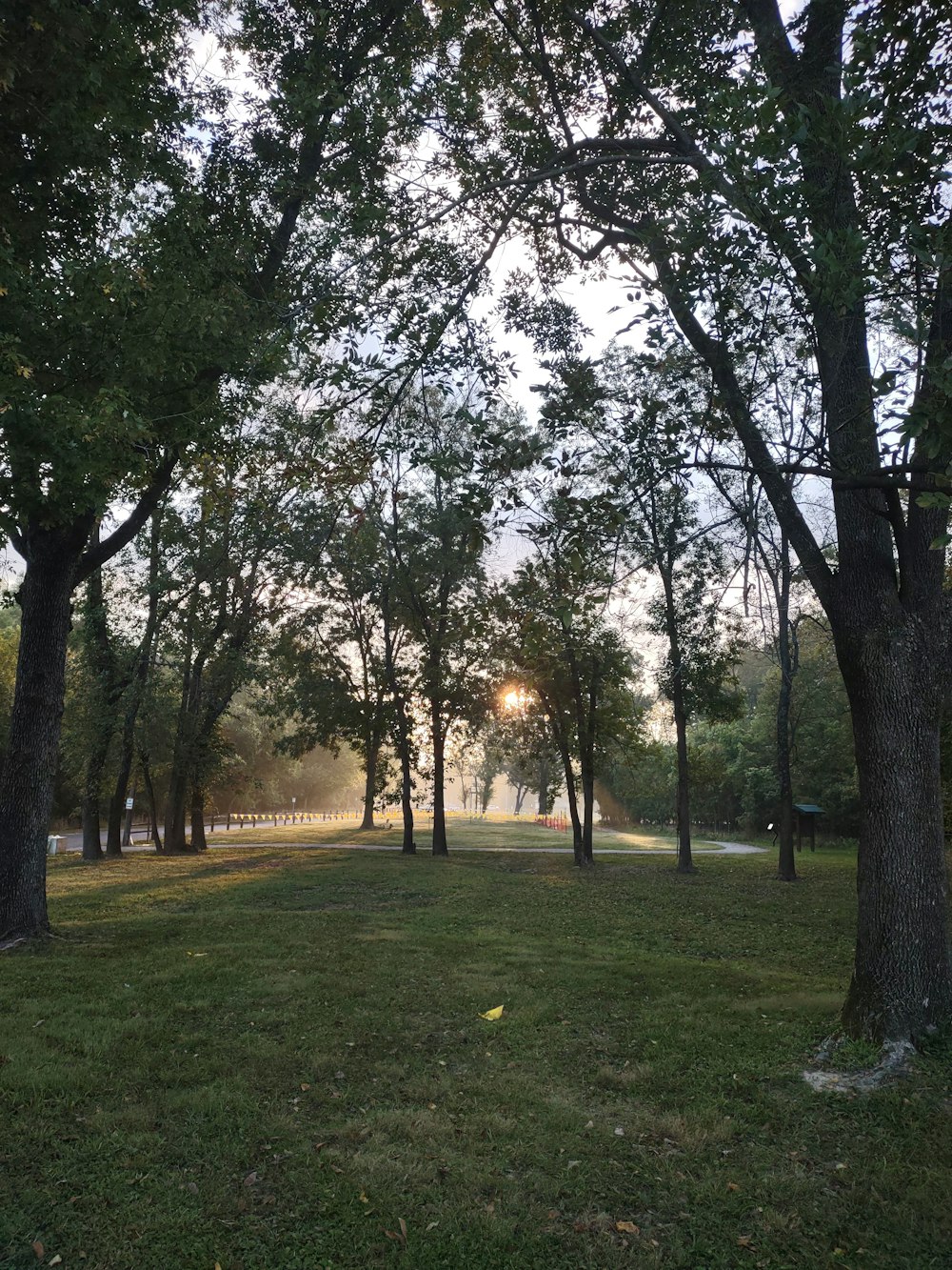 Le soleil brille à travers les arbres du parc