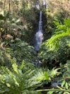 a small waterfall in the middle of a forest