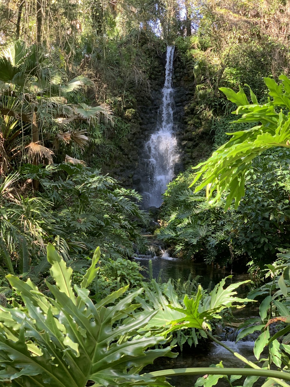 a small waterfall in the middle of a forest