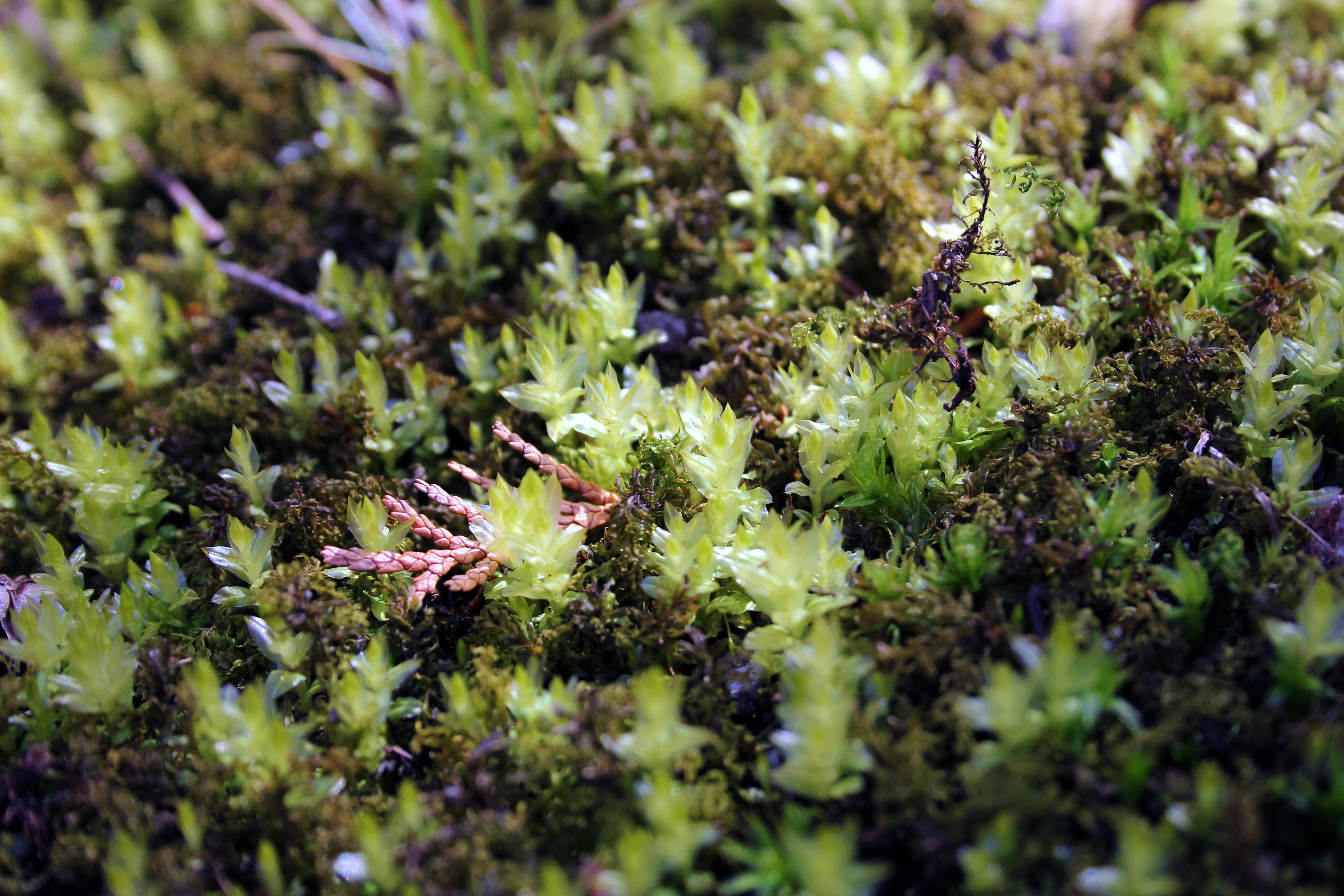 Photo by beautifulmutantstudio