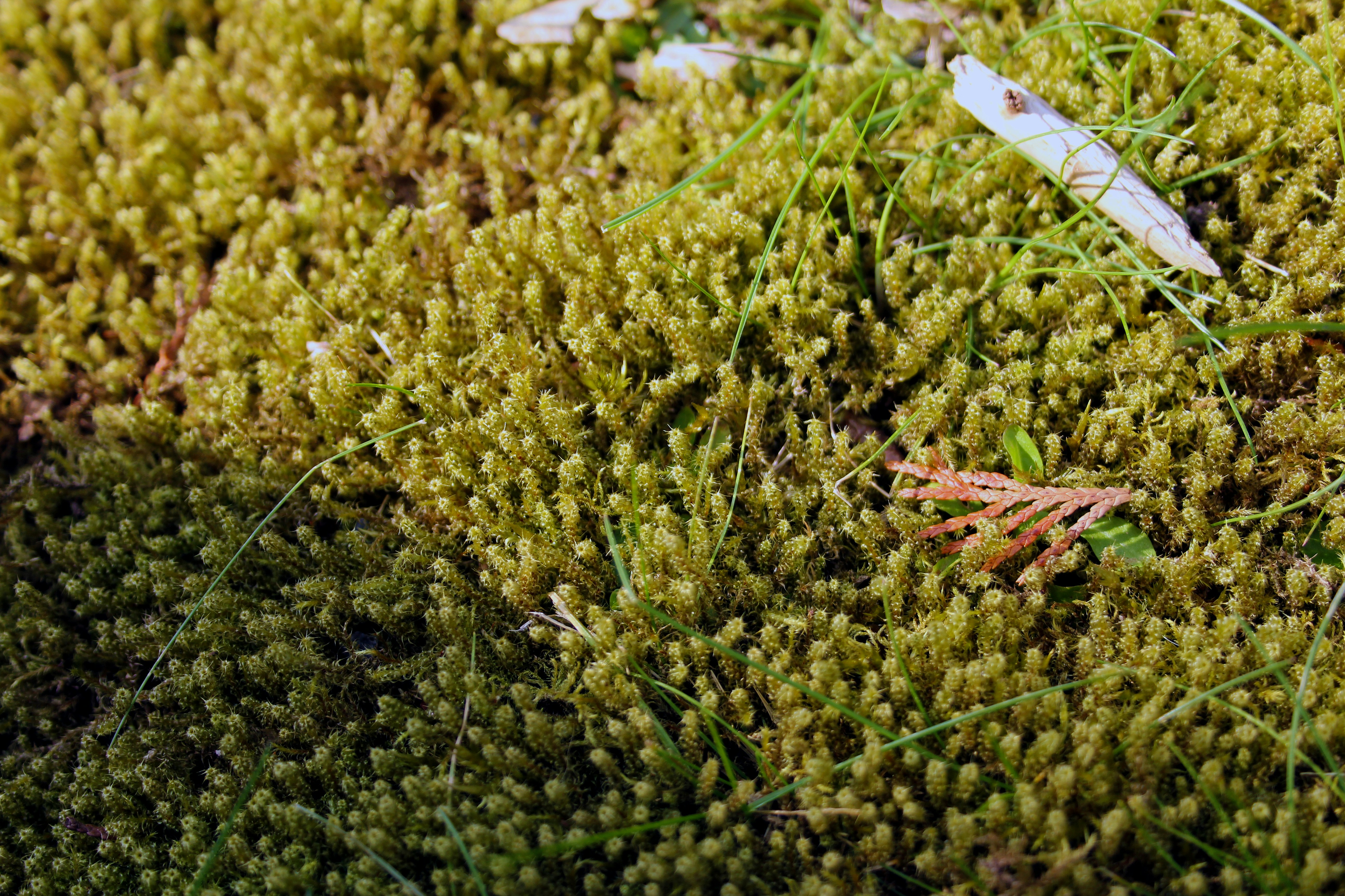 Photo by beautifulmutantstudio