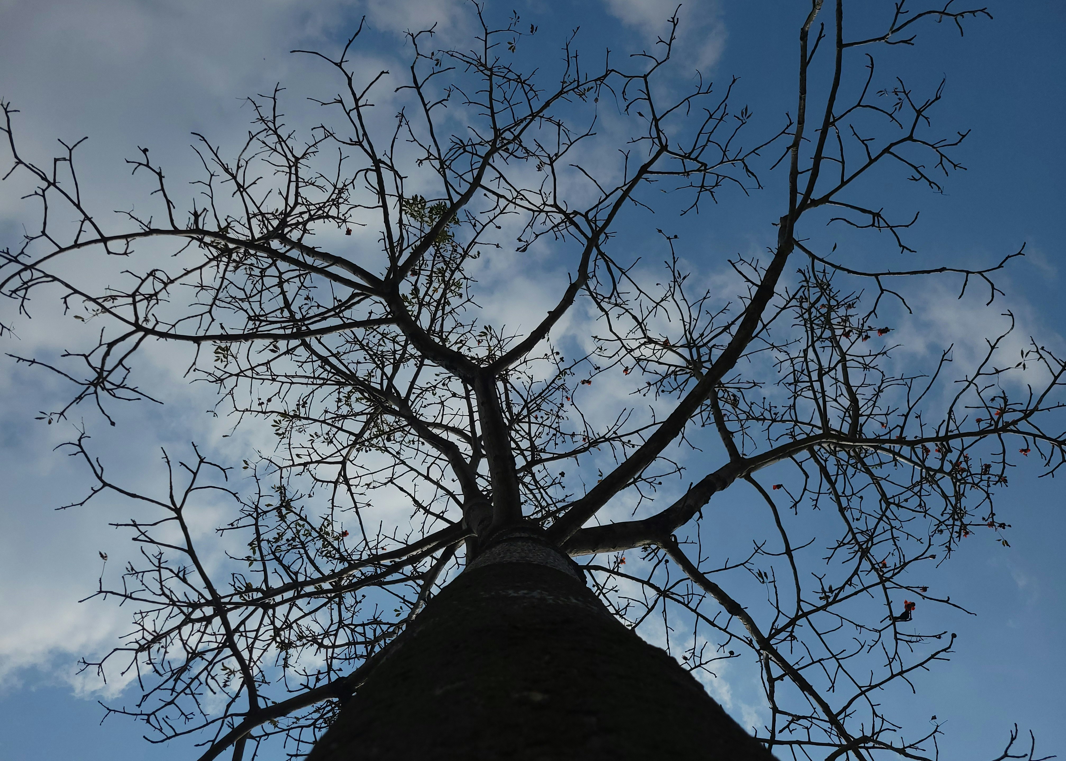 Photo by kashishh_54