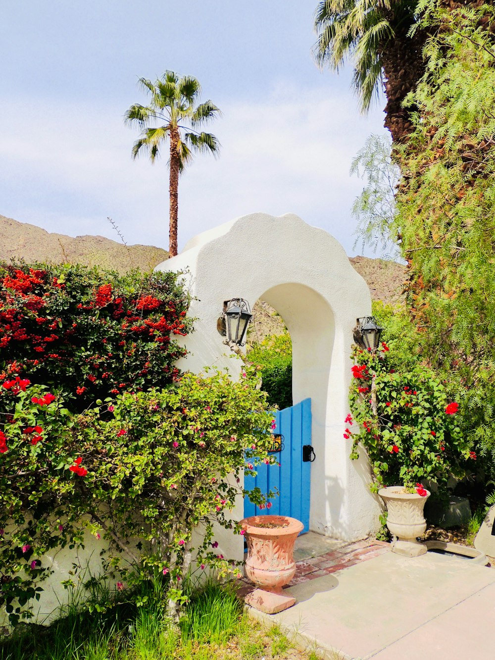 a white house with a blue door surrounded by flowers