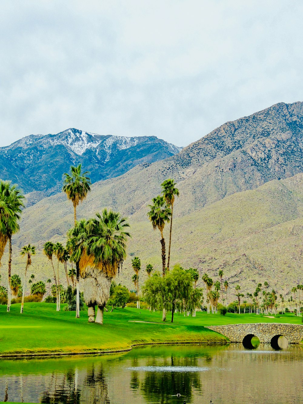 a golf course surrounded by palm trees and mountains