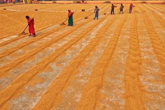 a group of people standing on top of a field