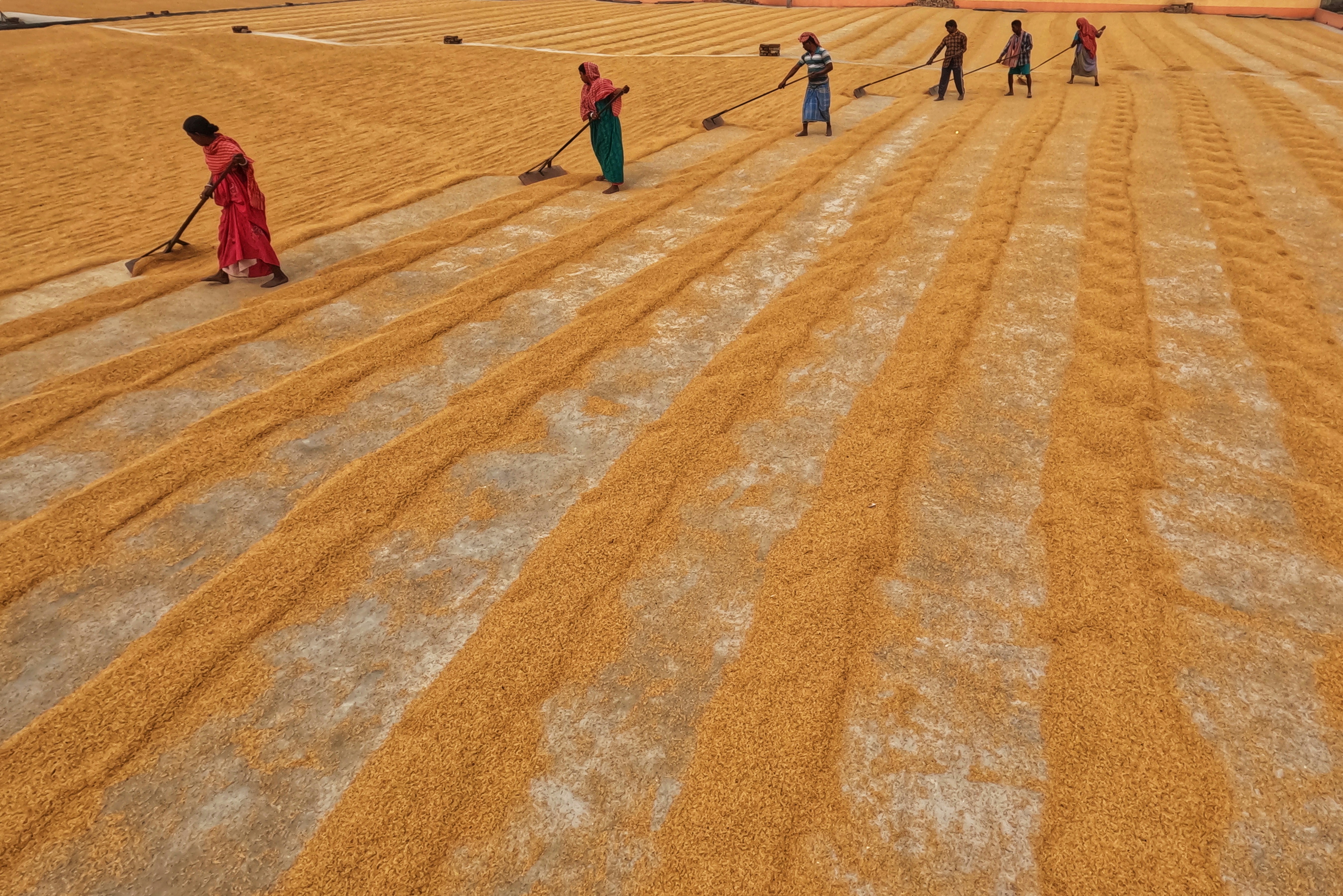 Photo by dibakar16roy