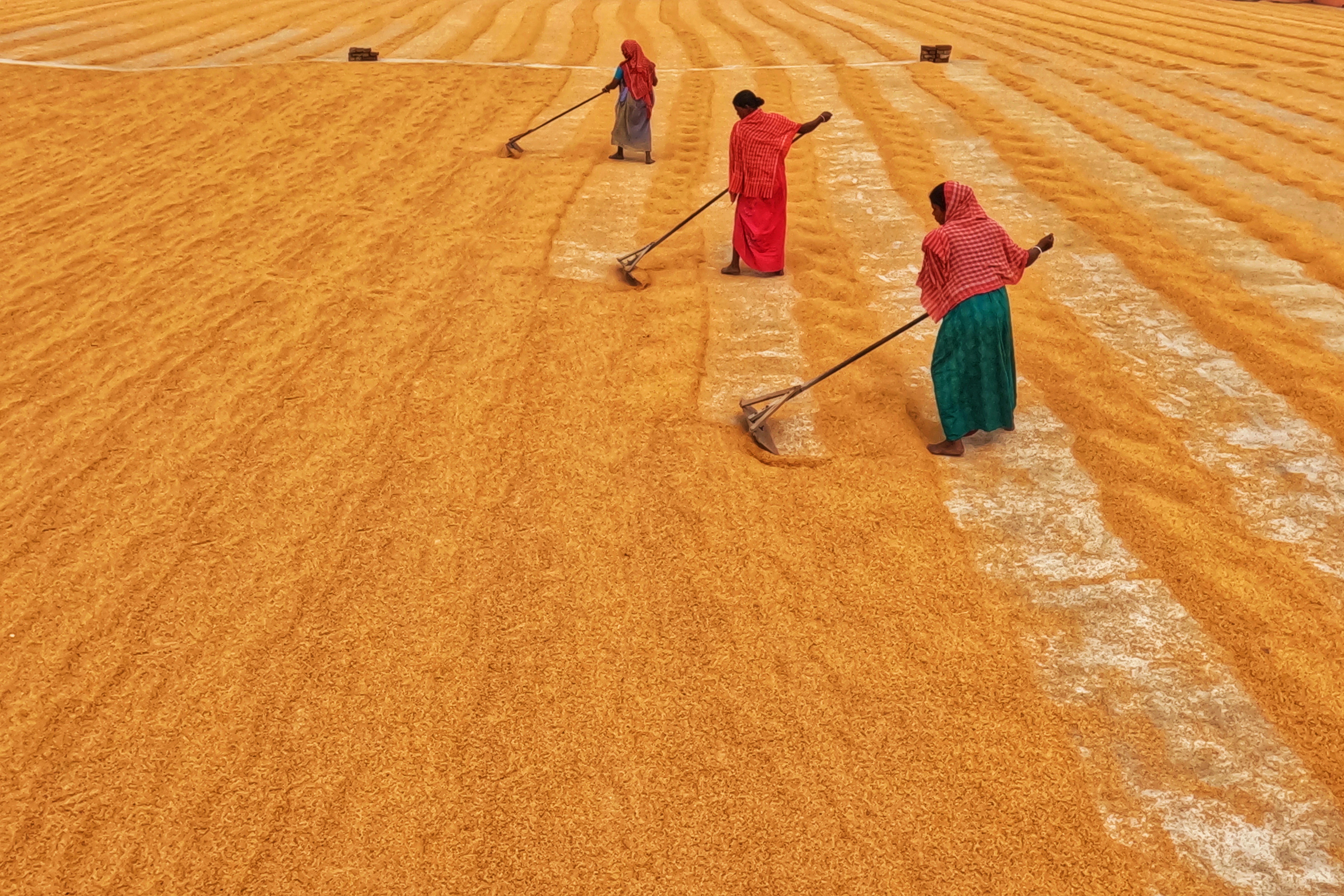 Photo by dibakar16roy