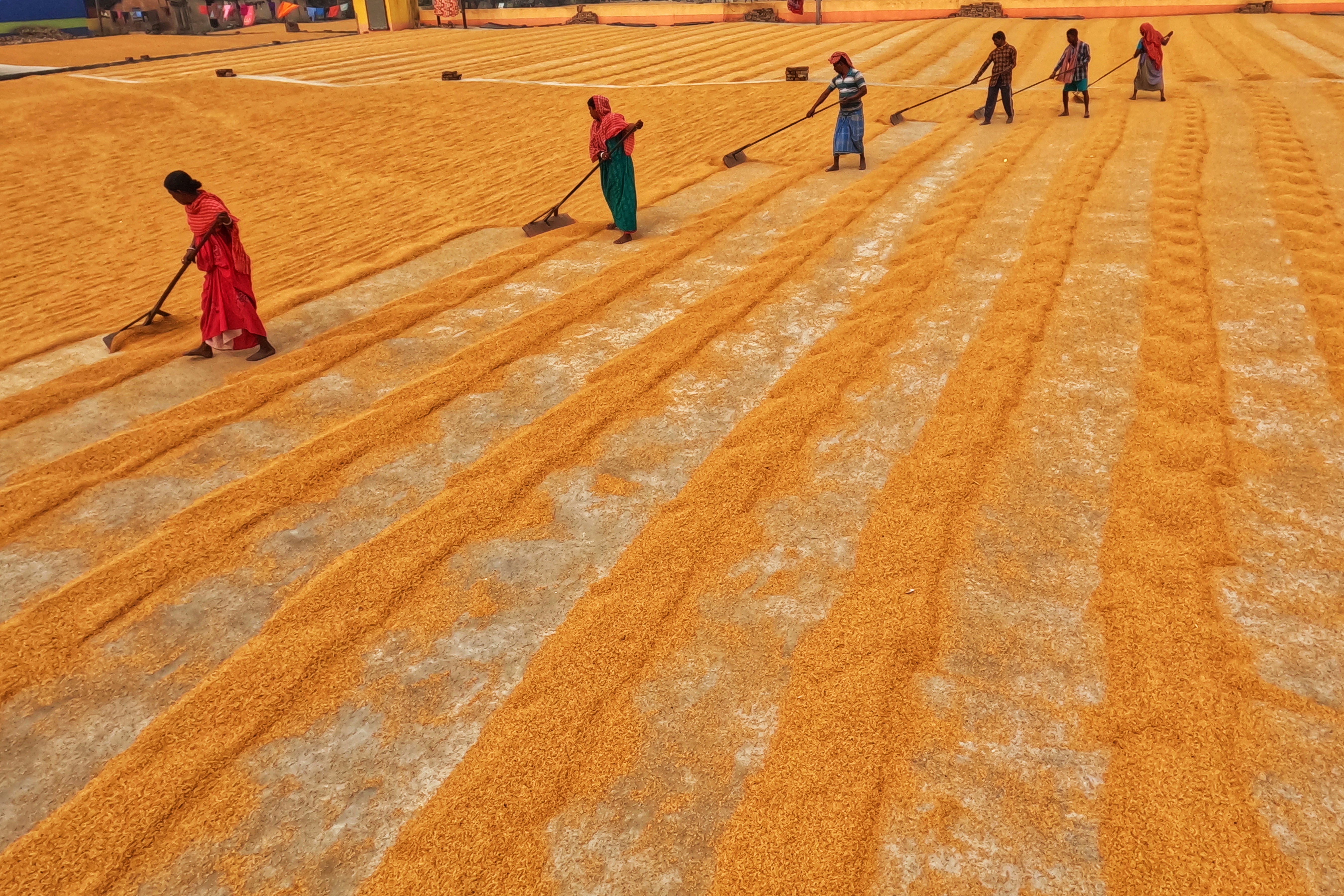 Photo by dibakar16roy