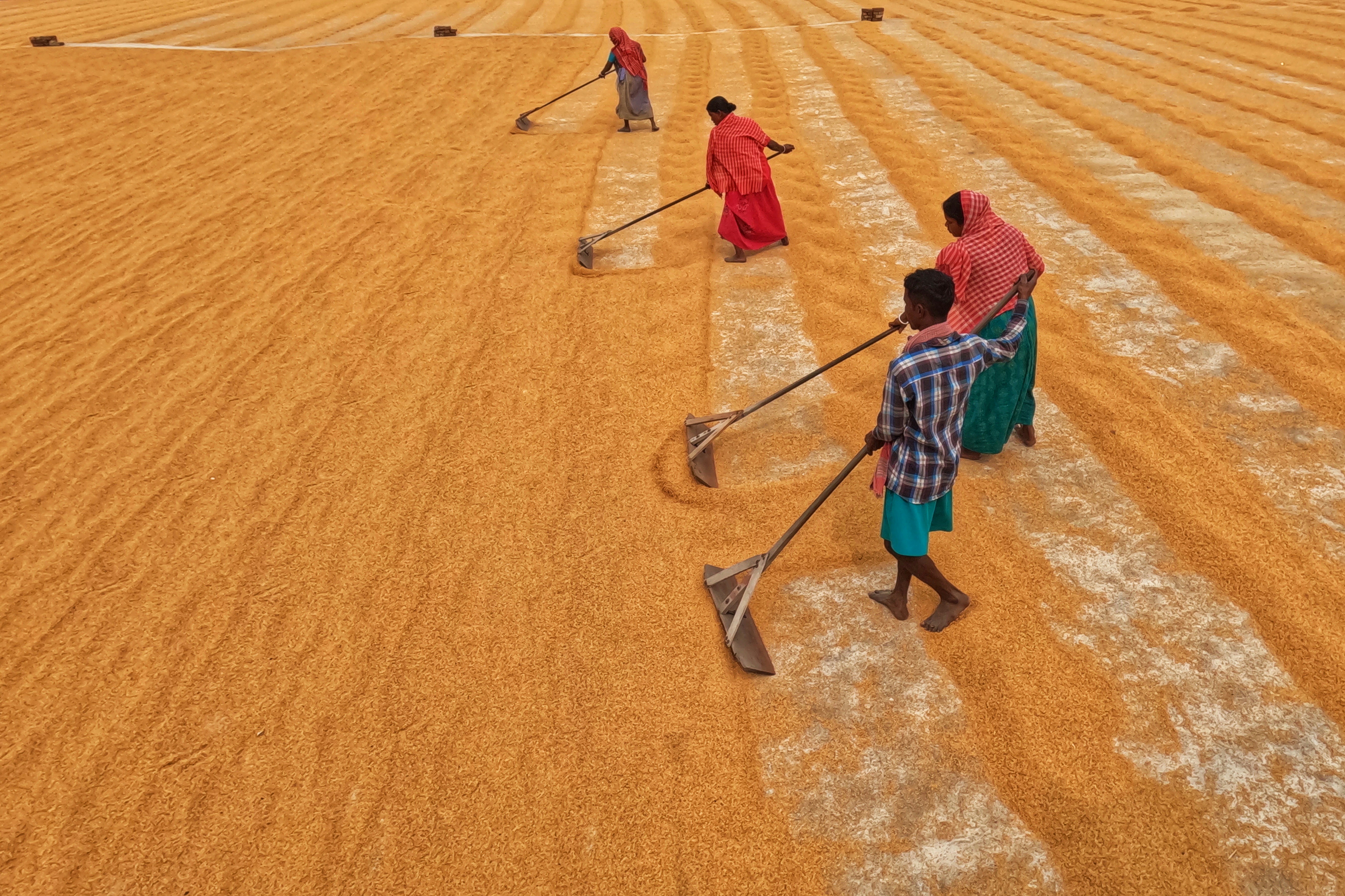 Photo by dibakar16roy