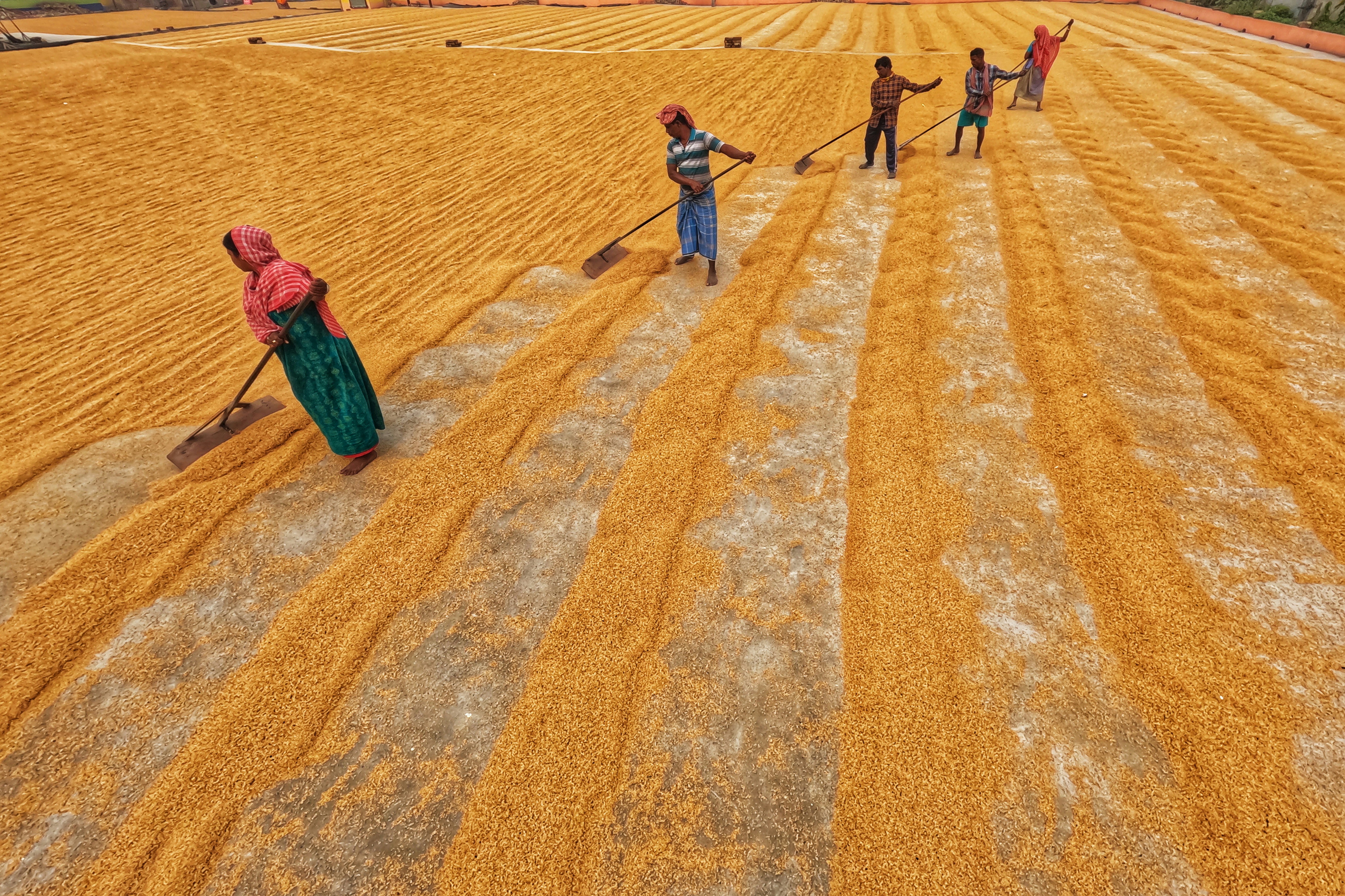 Photo by dibakar16roy