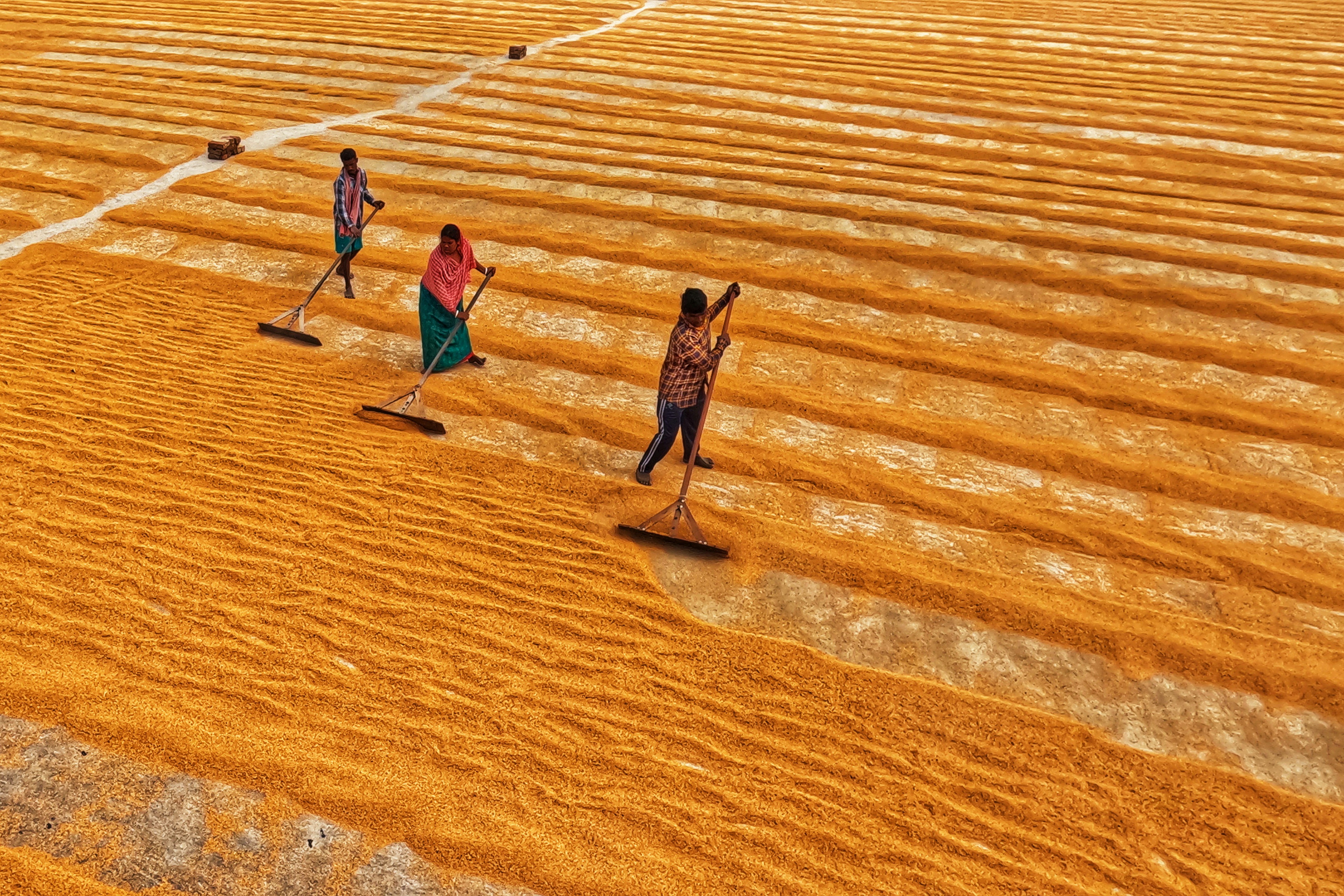 Photo by dibakar16roy