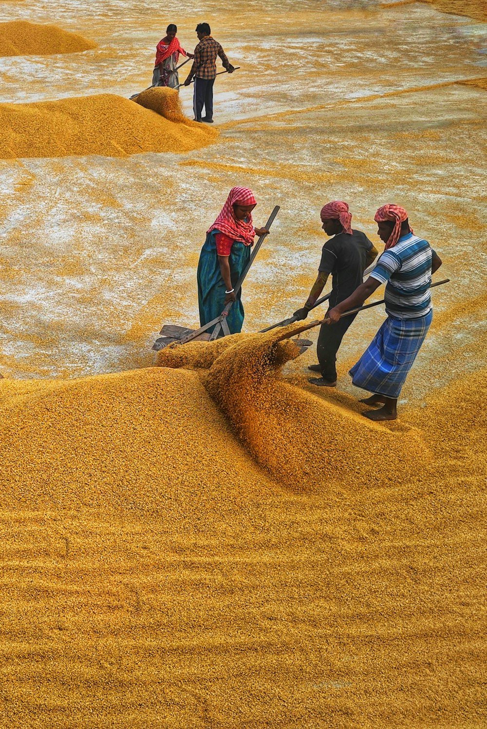 a group of people standing around a pile of dirt