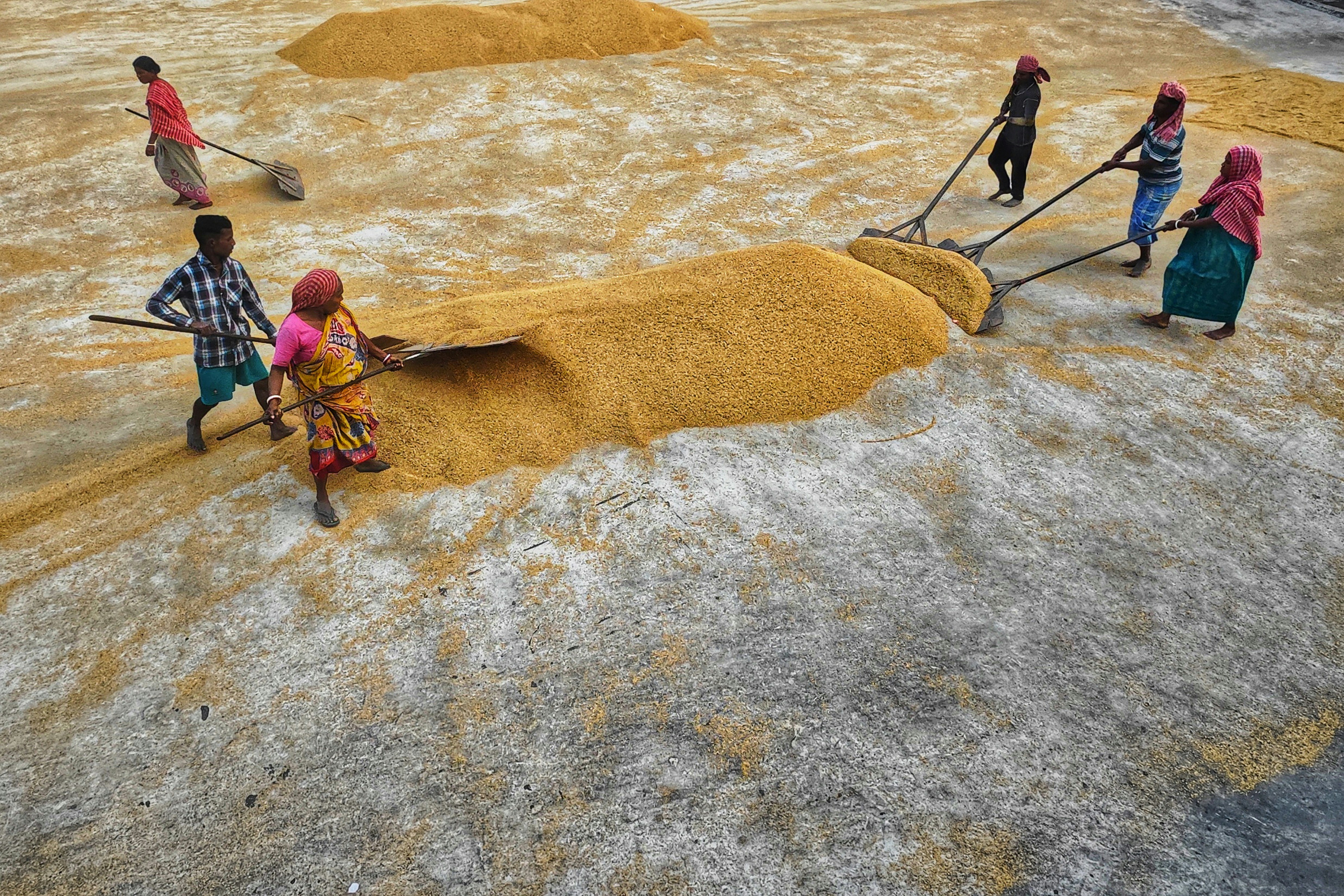 Photo by dibakar16roy