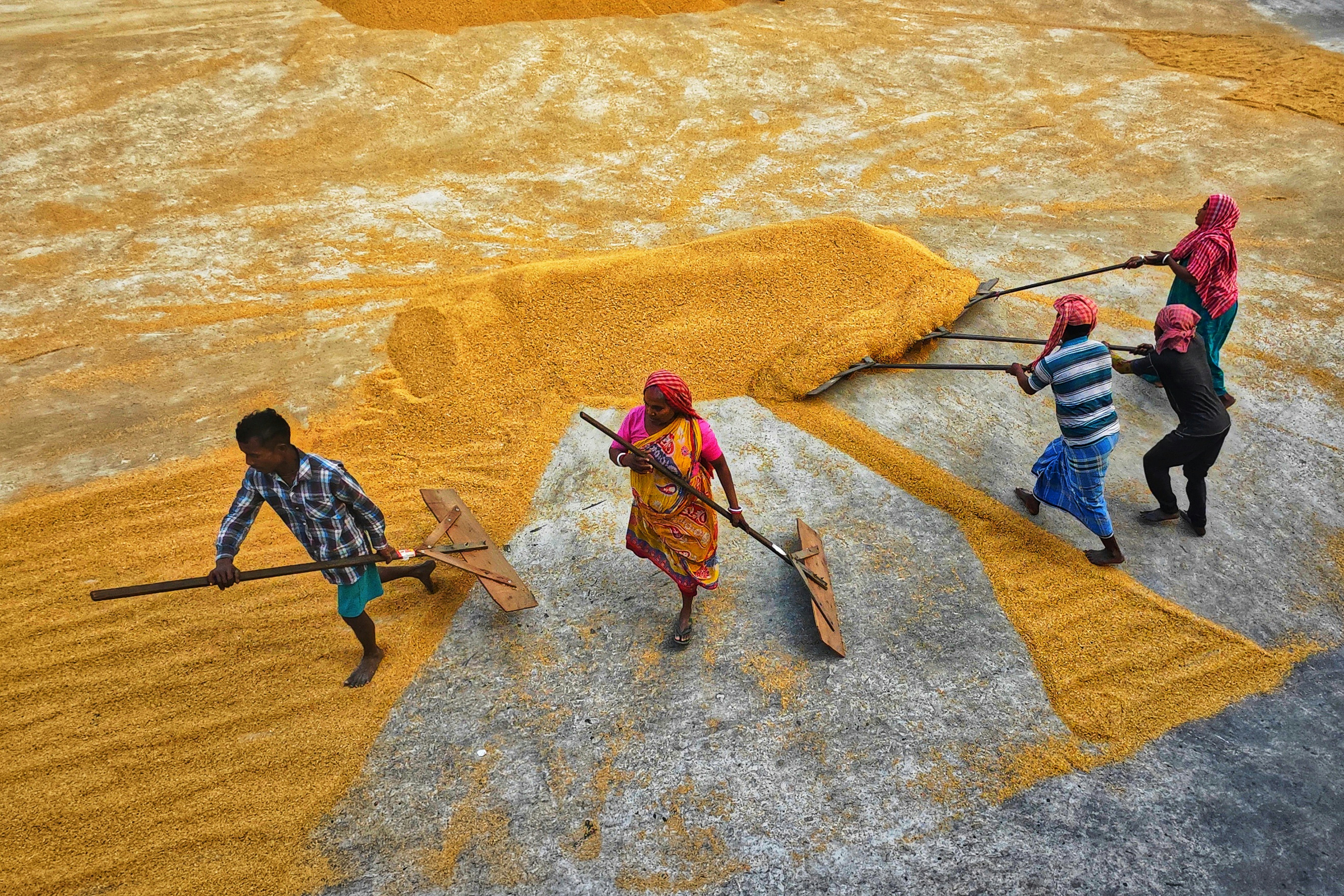 Photo by dibakar16roy