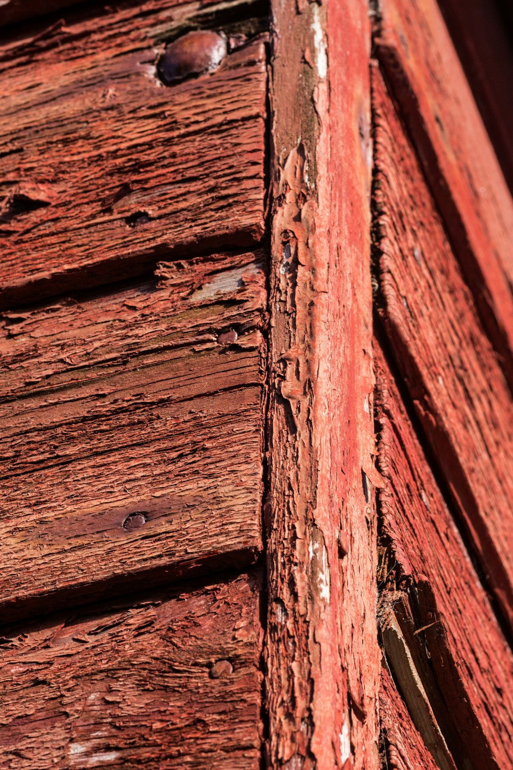 a close up of a bird on a wooden structure