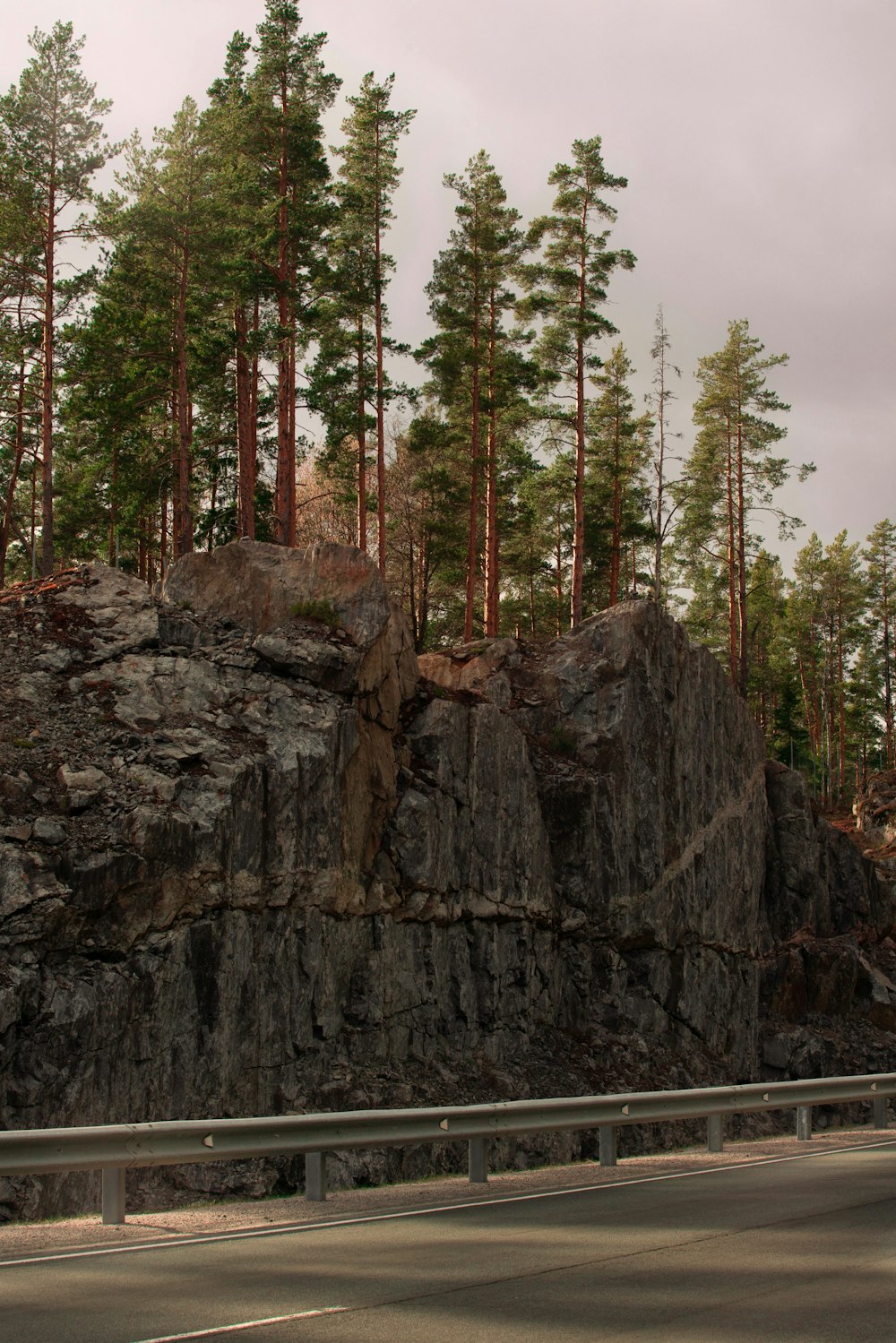 a car driving down a road next to a forest