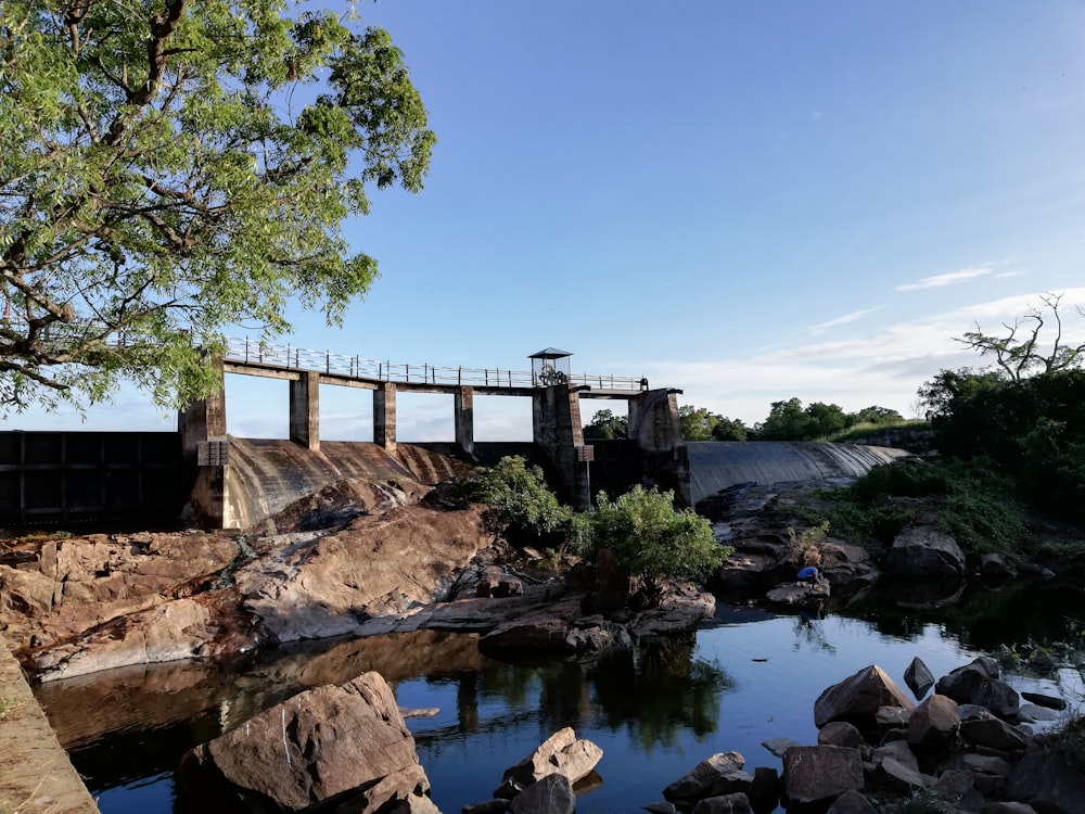 a bridge over a river next to a forest