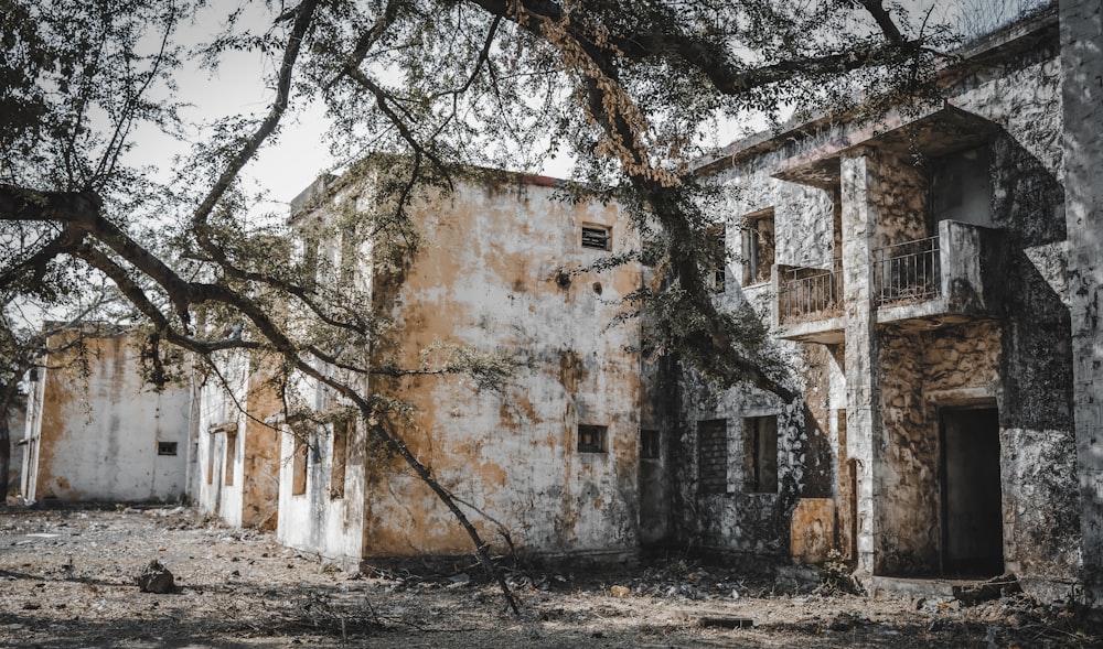 an old building with a tree in front of it