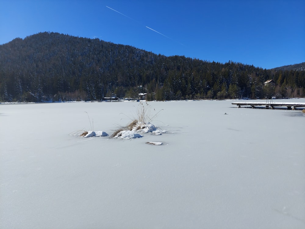 a snow covered field with benches and trees in the background