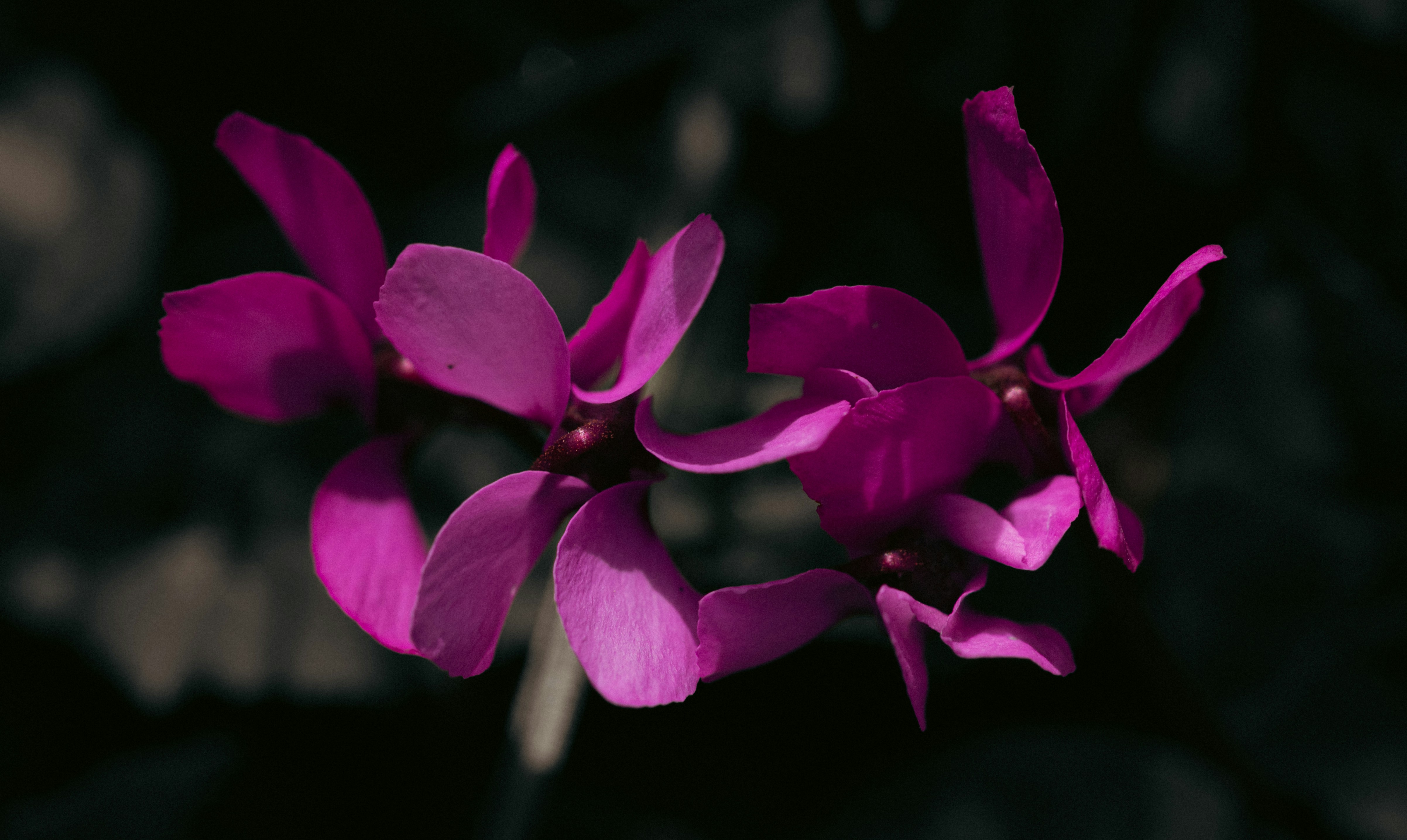 Photo by hdbernd