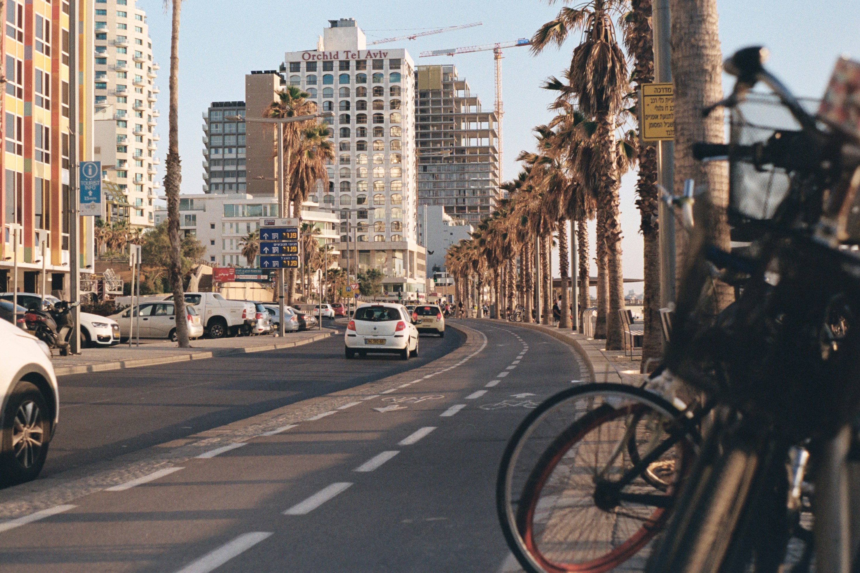 a busy city street with palm trees and tall buildings