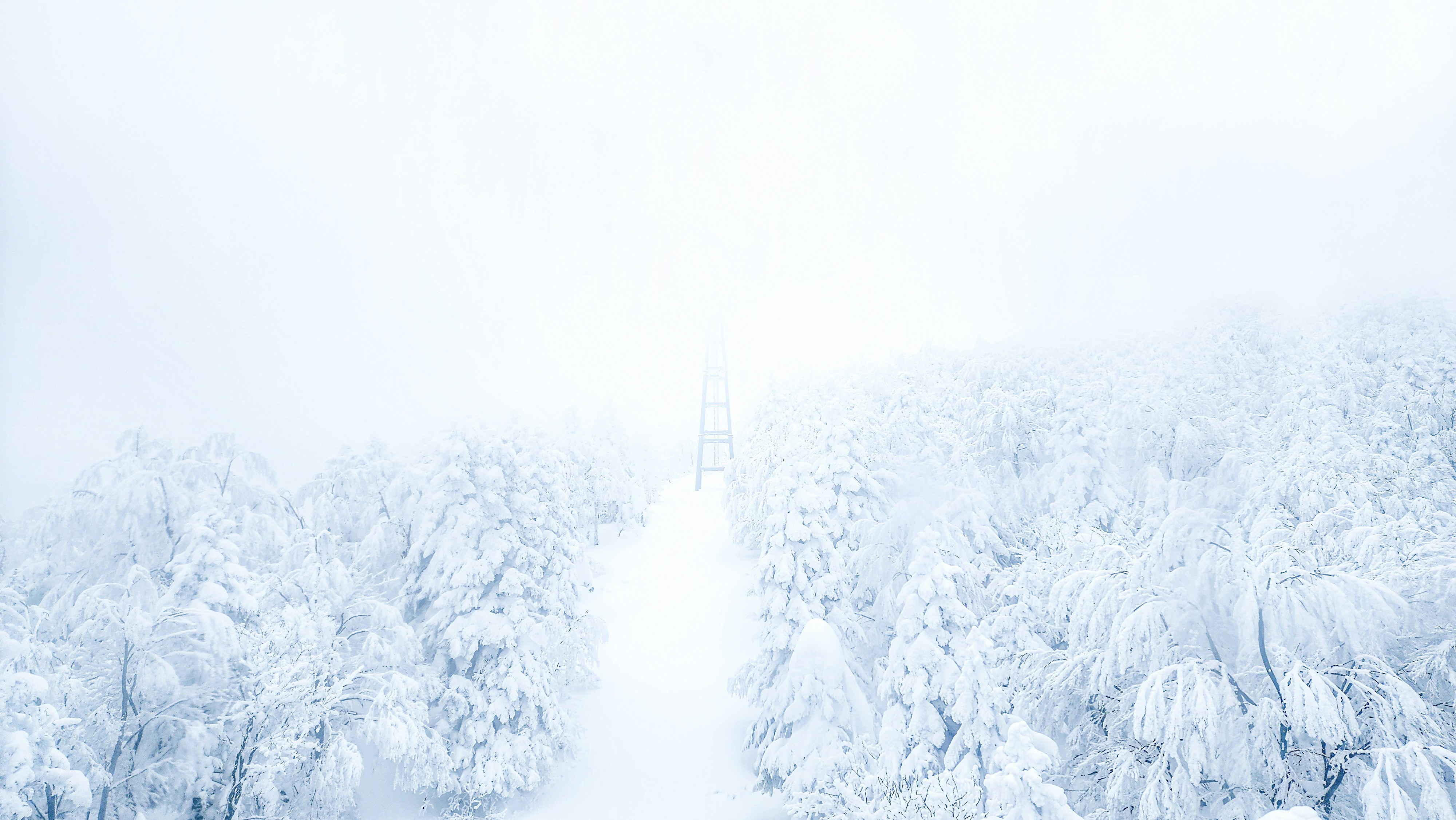 a tall tower towering over a snow covered forest