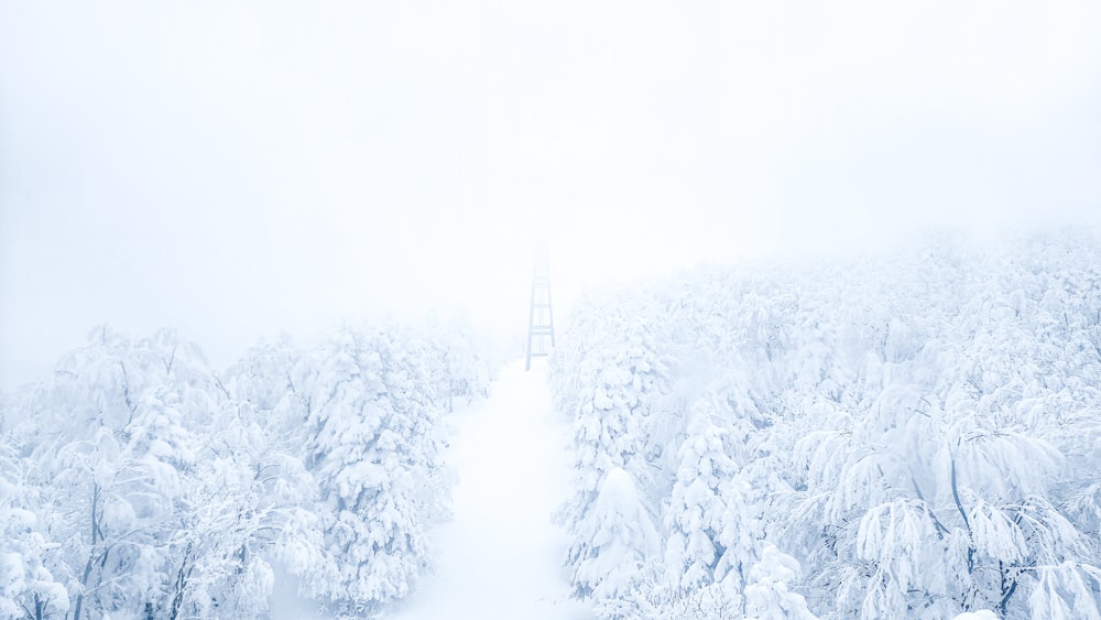 a tall tower towering over a snow covered forest