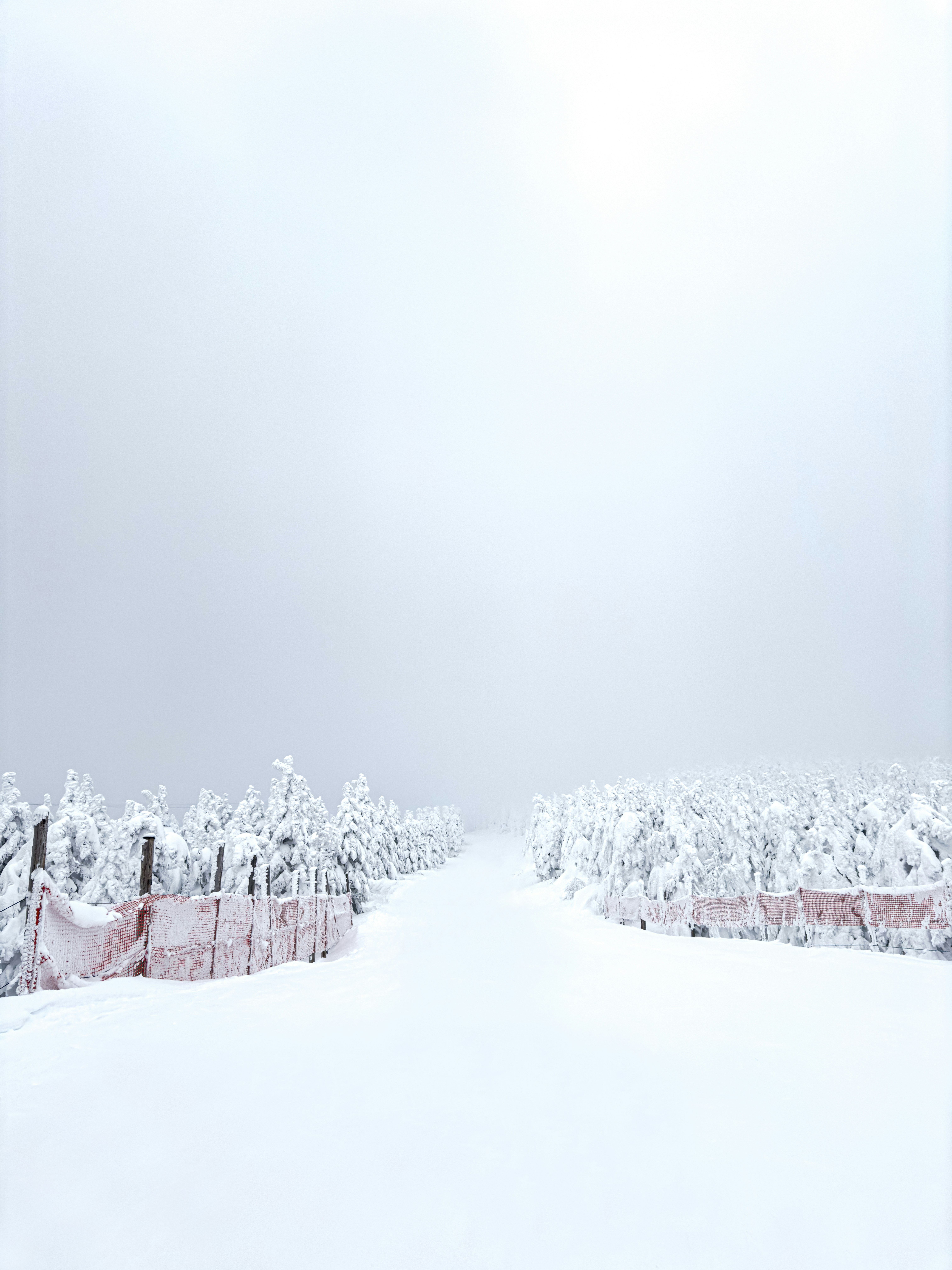 a snowboarder is going down a snowy path