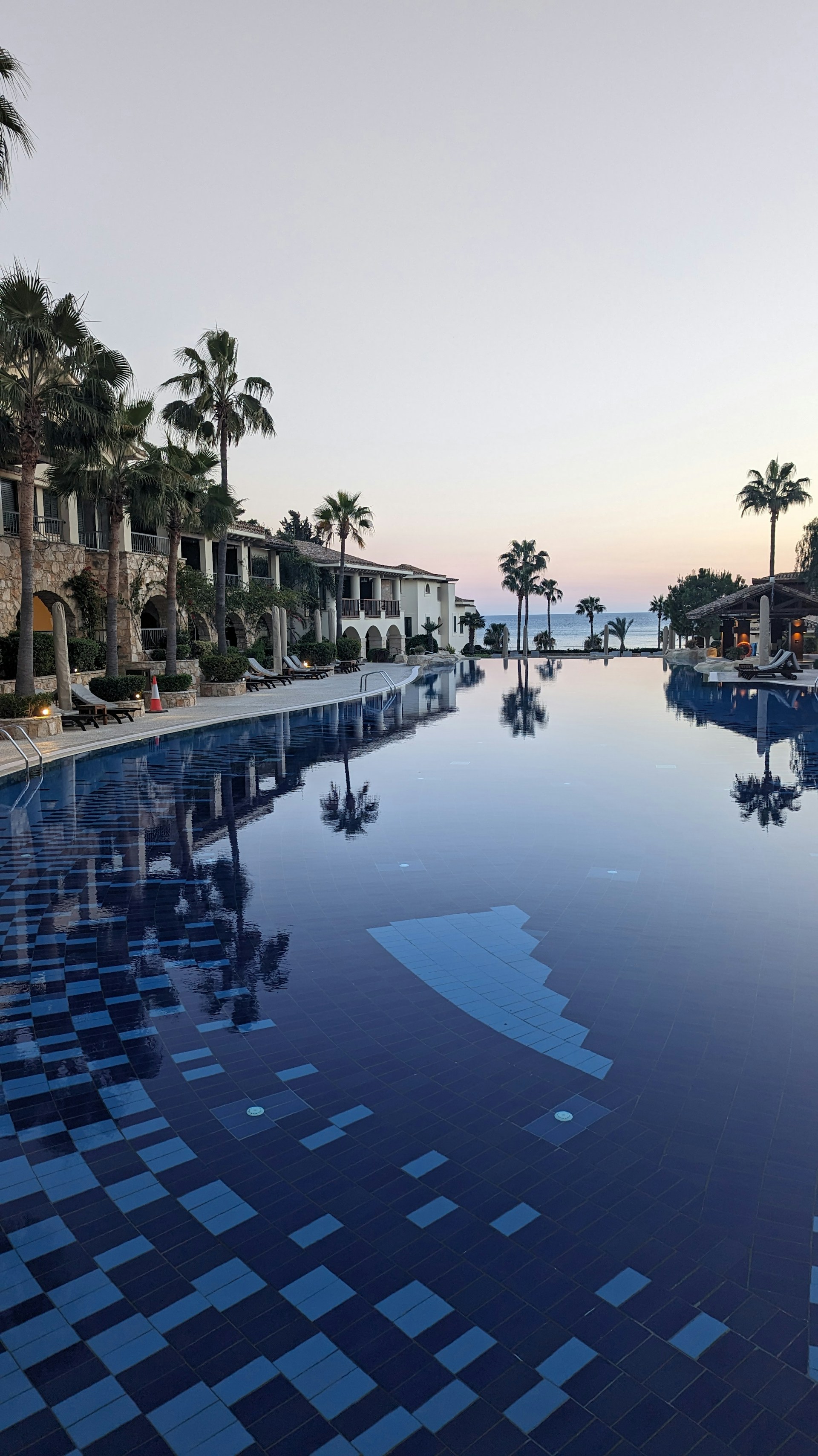 a large swimming pool surrounded by palm trees