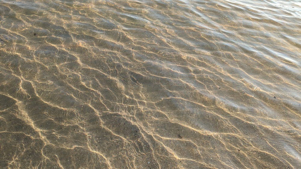 a close up of a body of water