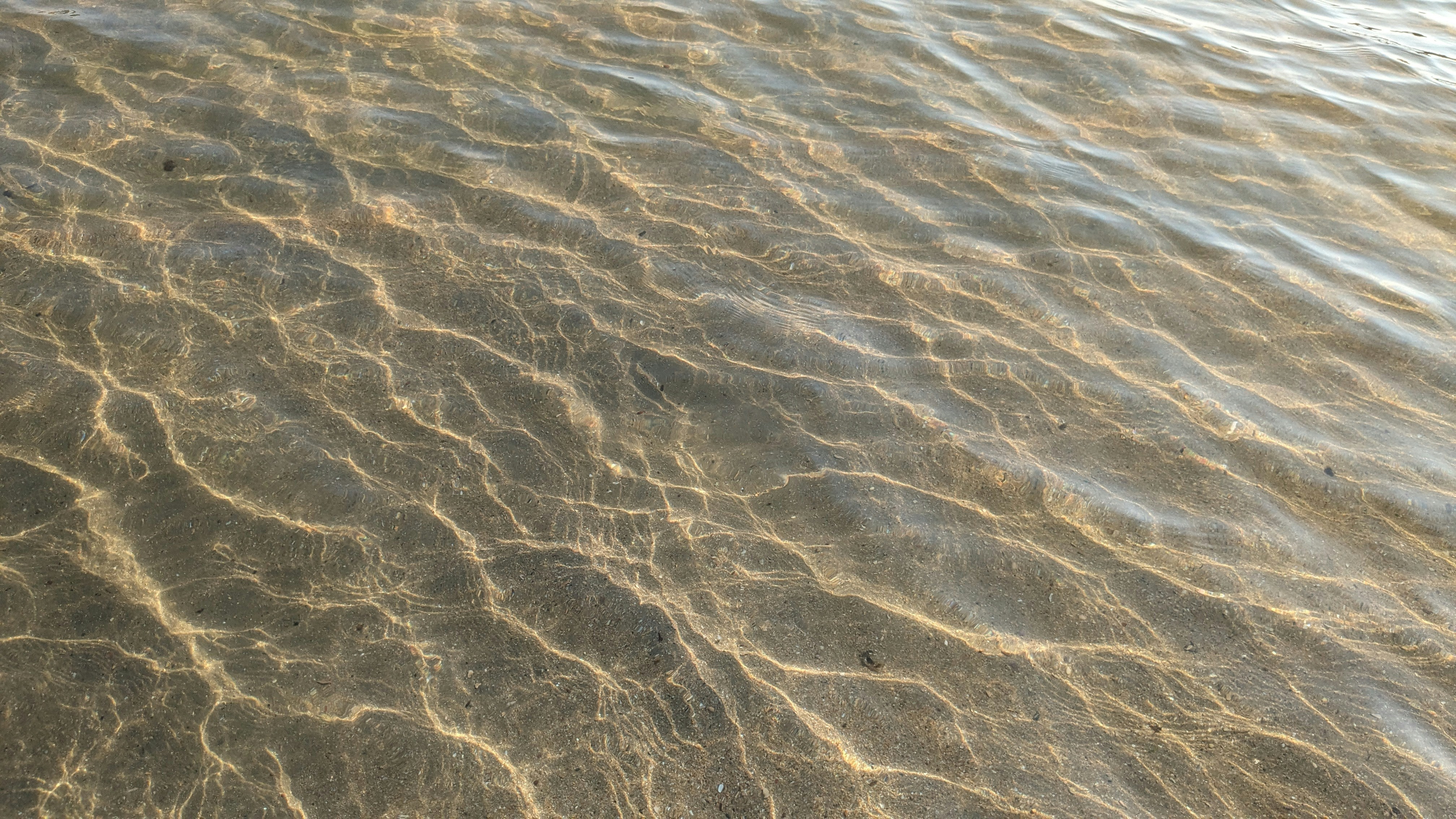 a close up of a body of water