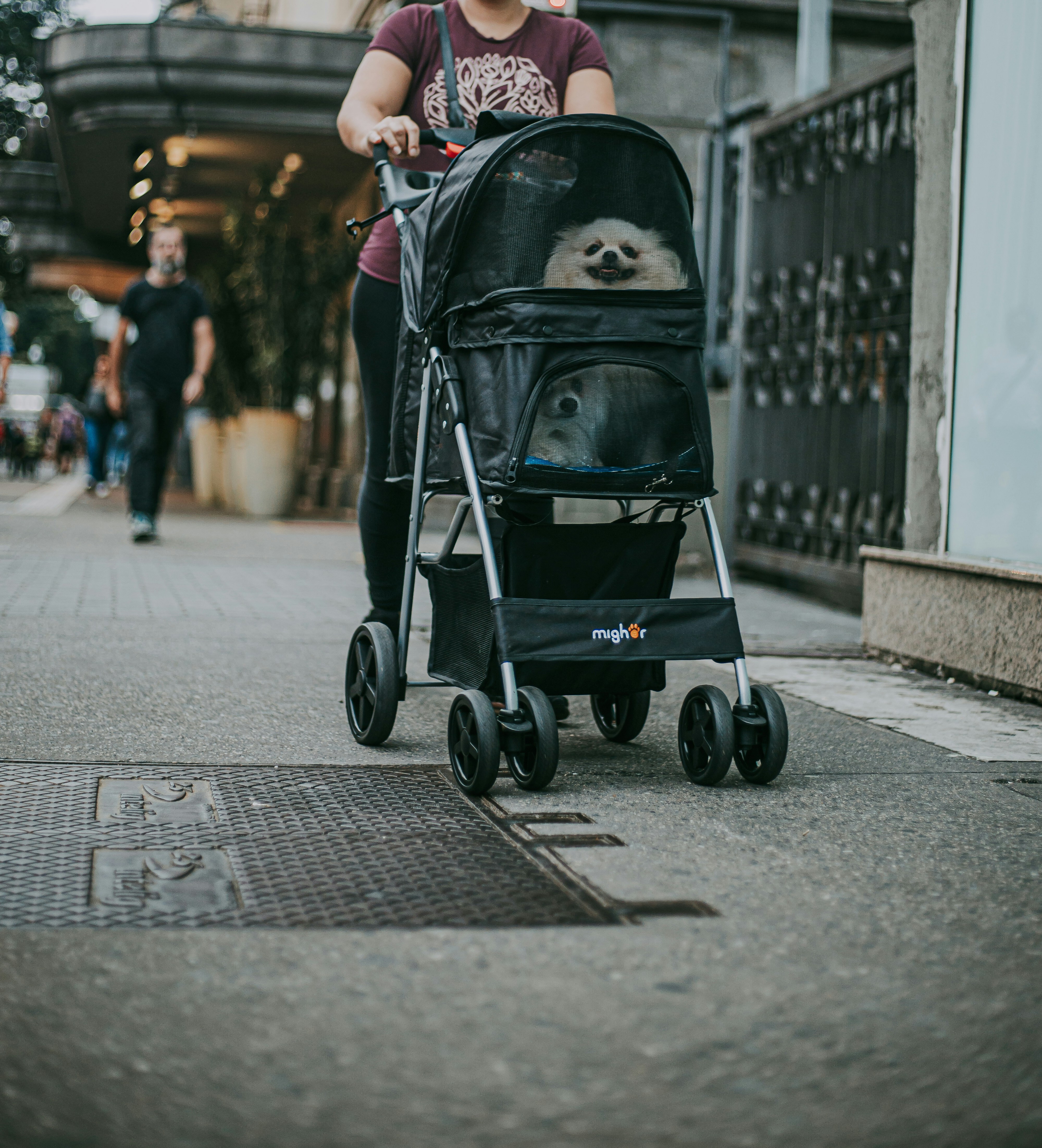 Photo by darwinboaventura