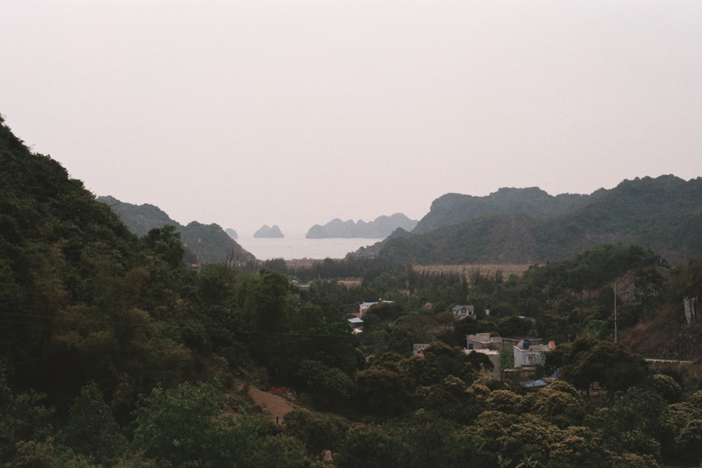 a view of a small village in the middle of a forest