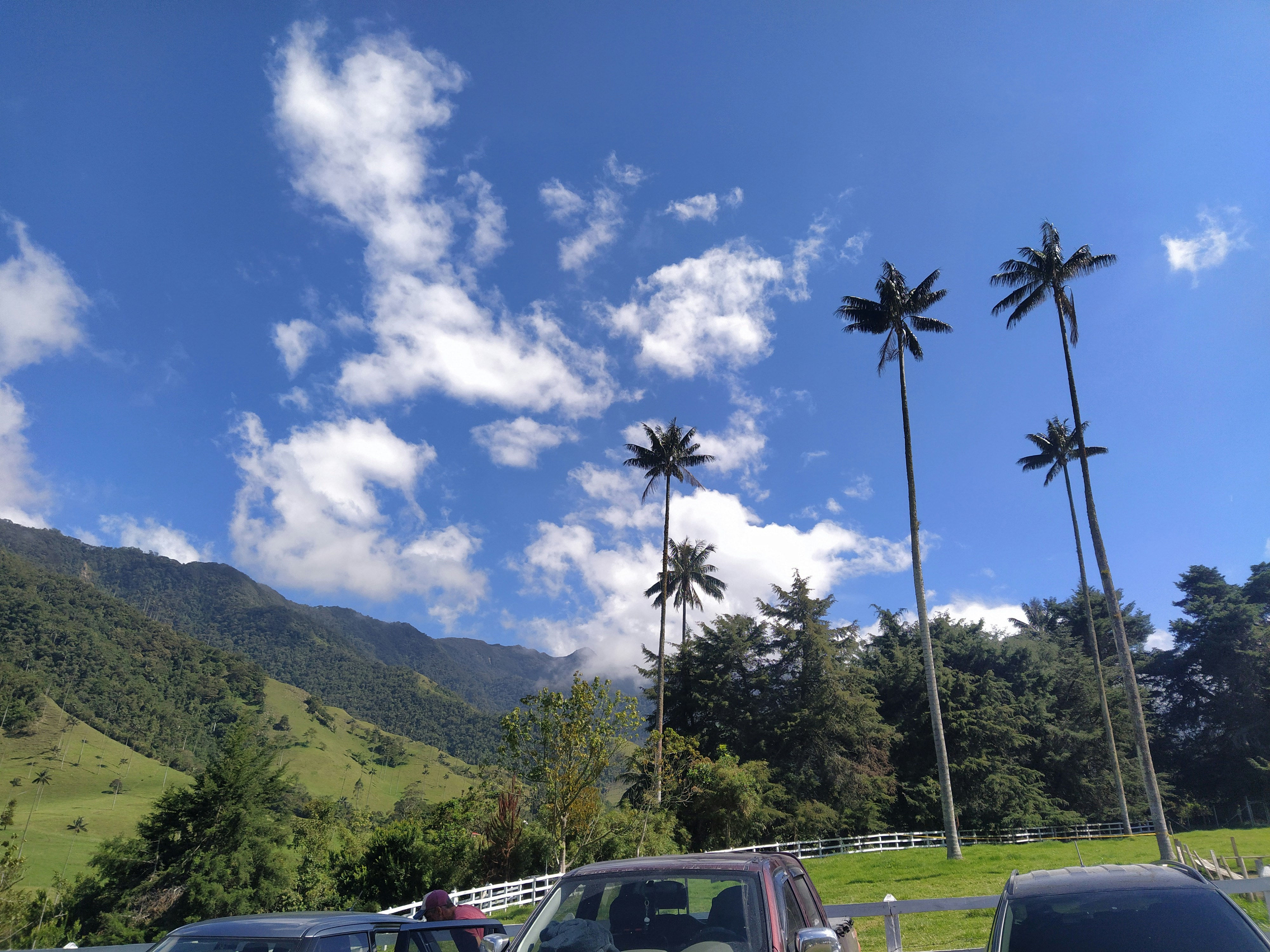 Un grupo de coches aparcados uno al lado del otro en un aparcamiento