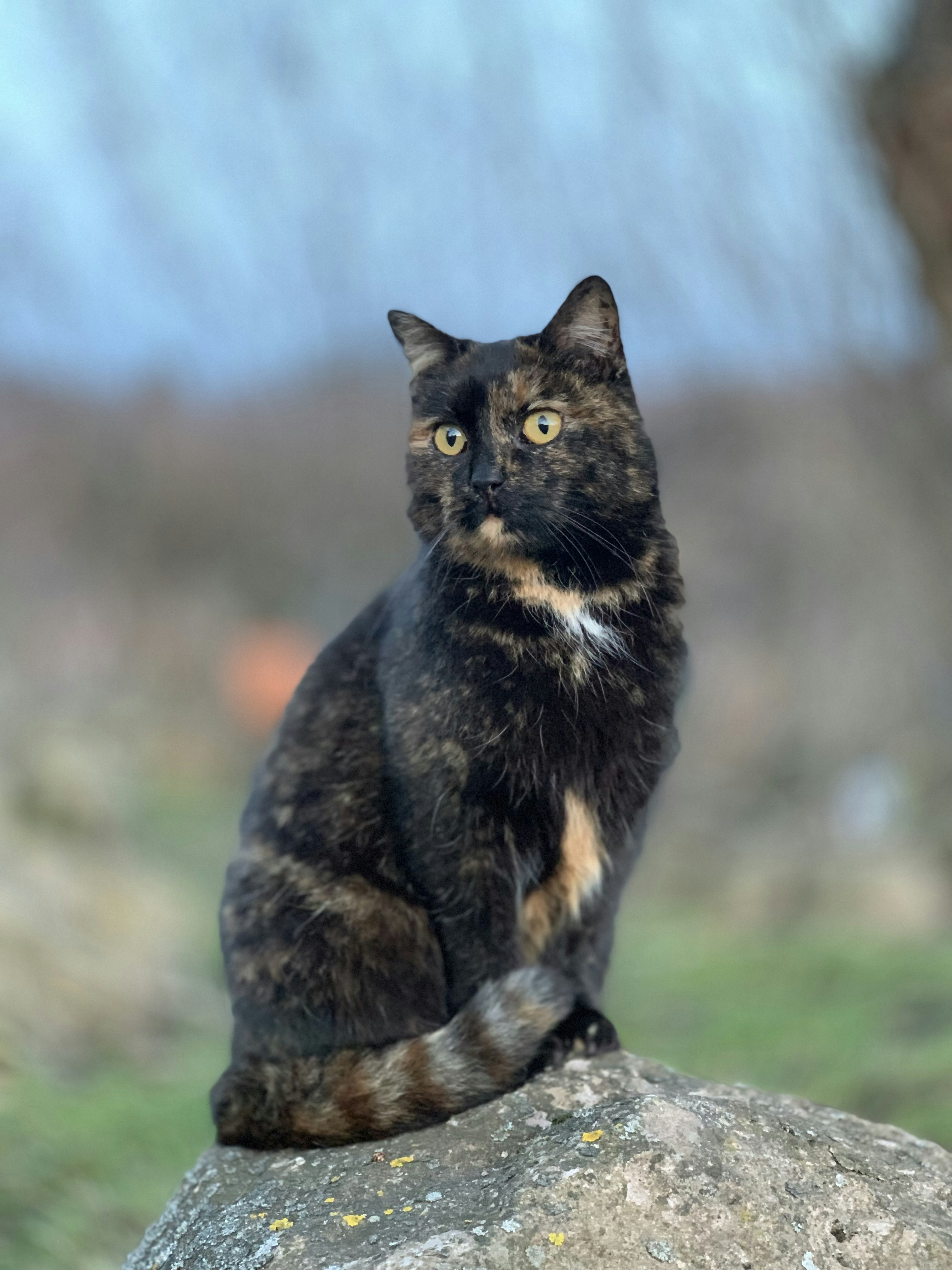 woman wearing yellow long-sleeved dress under white clouds and blue sky during daytime