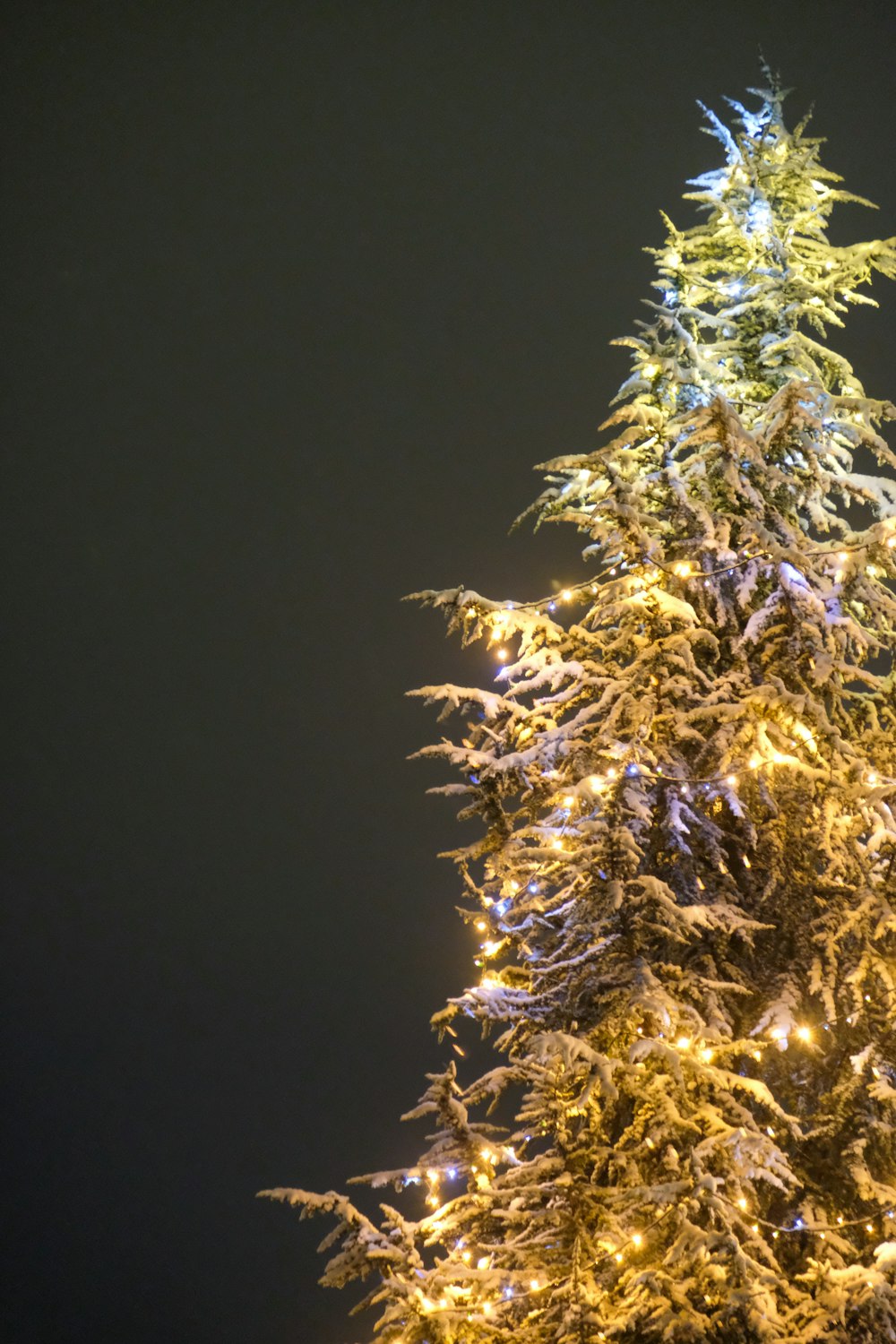 a very tall christmas tree covered in snow