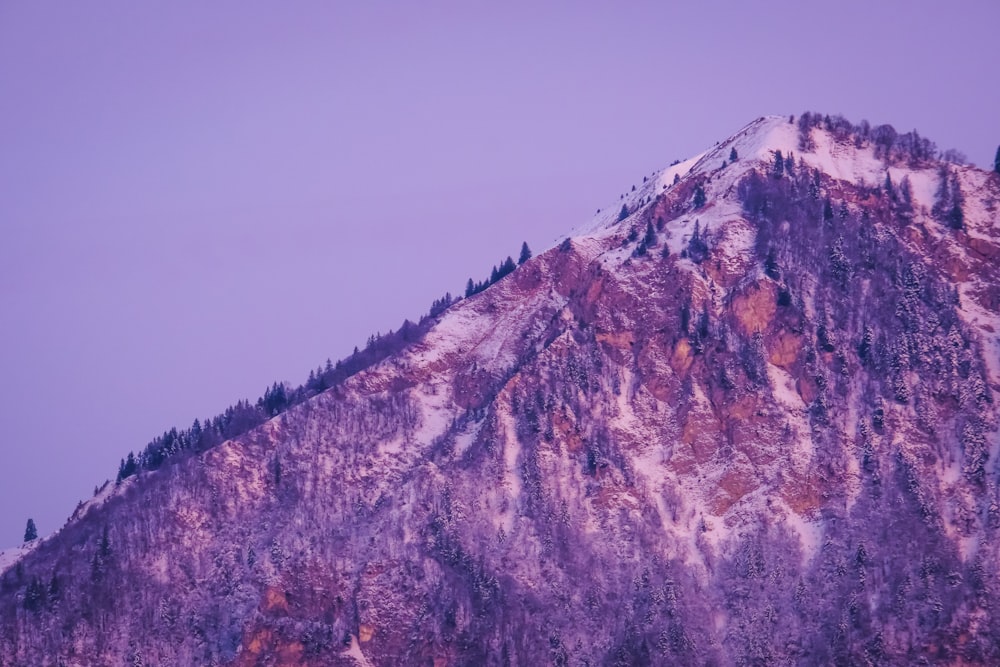 a snow covered mountain with trees on the top