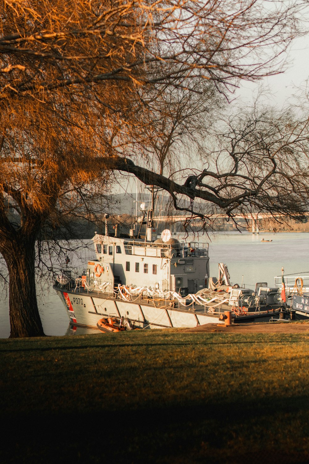 a boat is docked in the water next to a tree