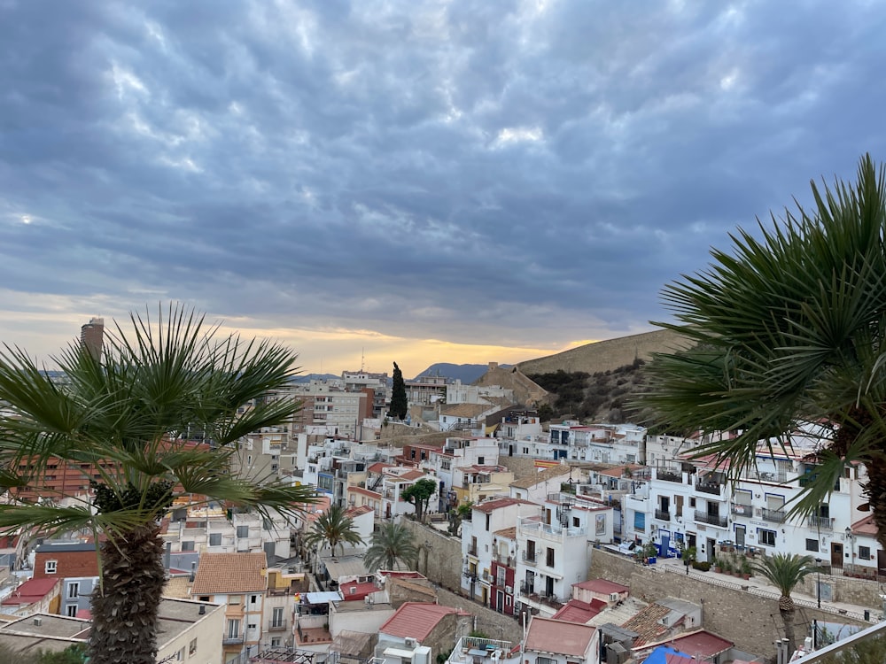 a view of a city with palm trees in the foreground