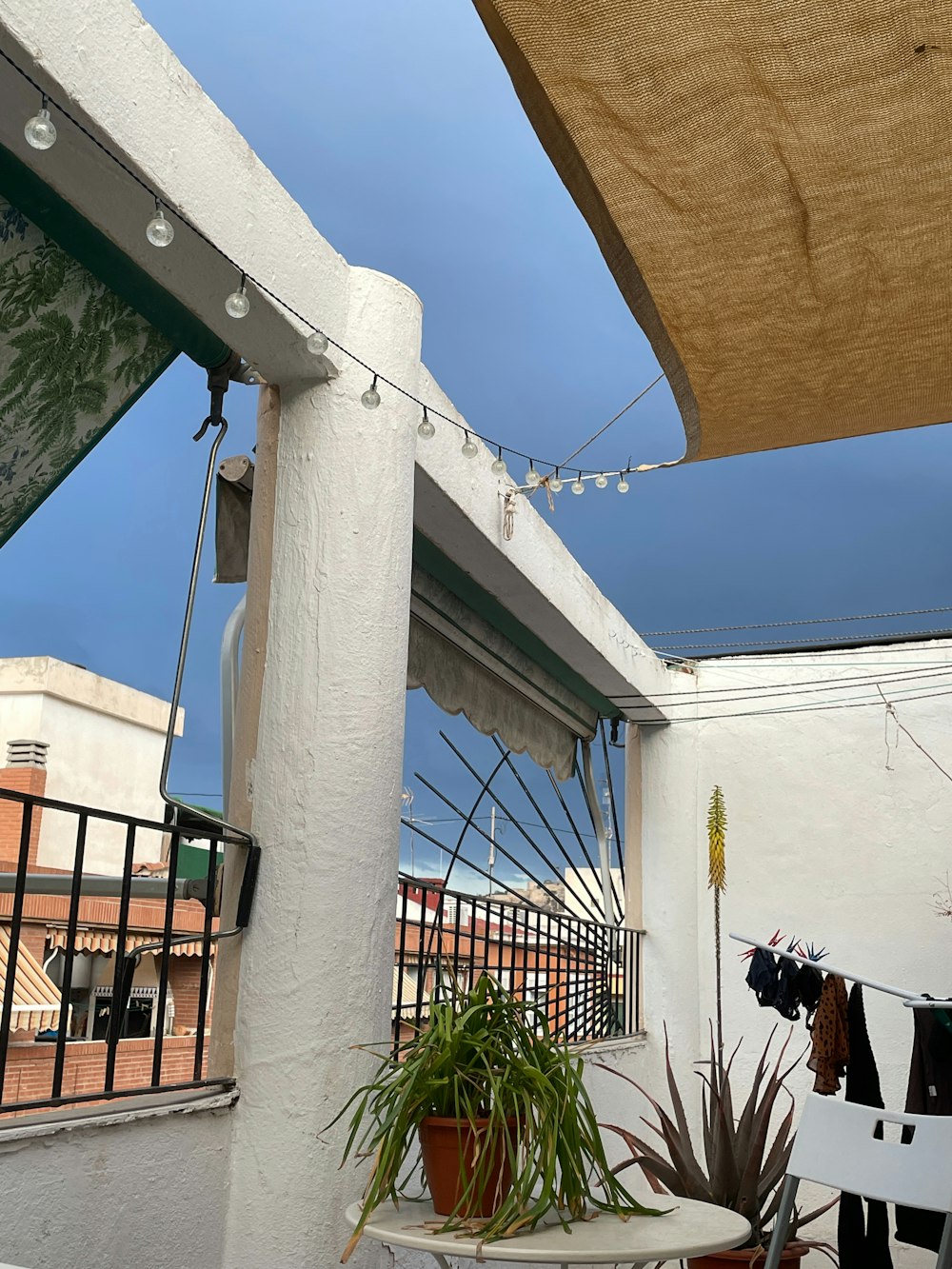 a patio with a potted plant and a wooden awning
