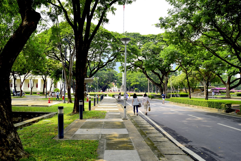 a group of people walking down a street next to trees