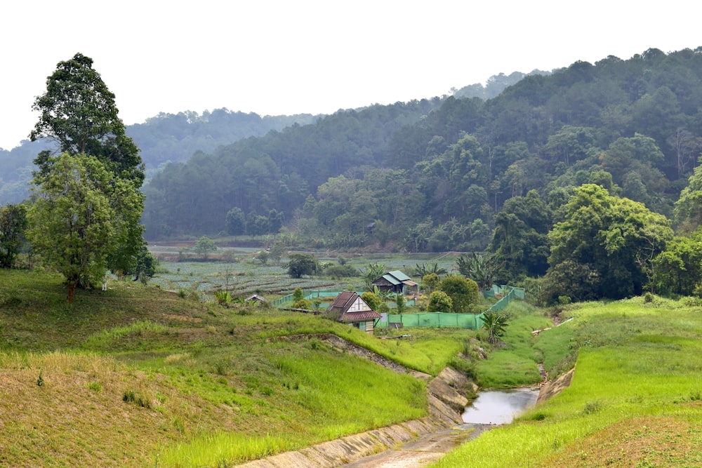 a small stream running through a lush green hillside