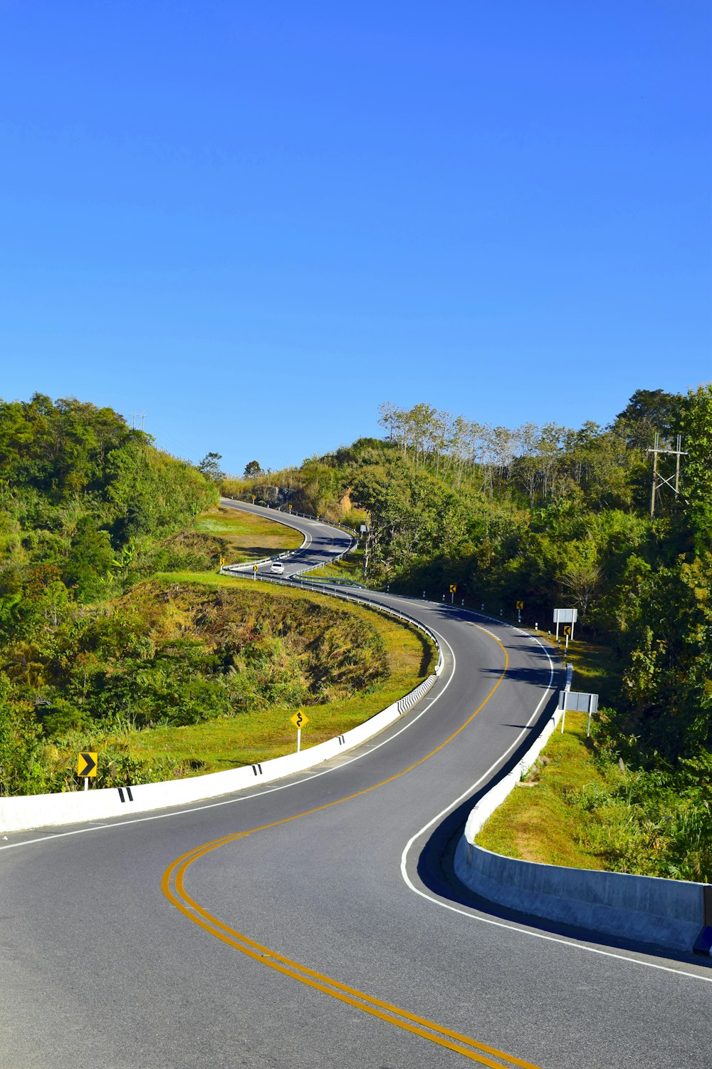 a curved road surrounded by lush green trees