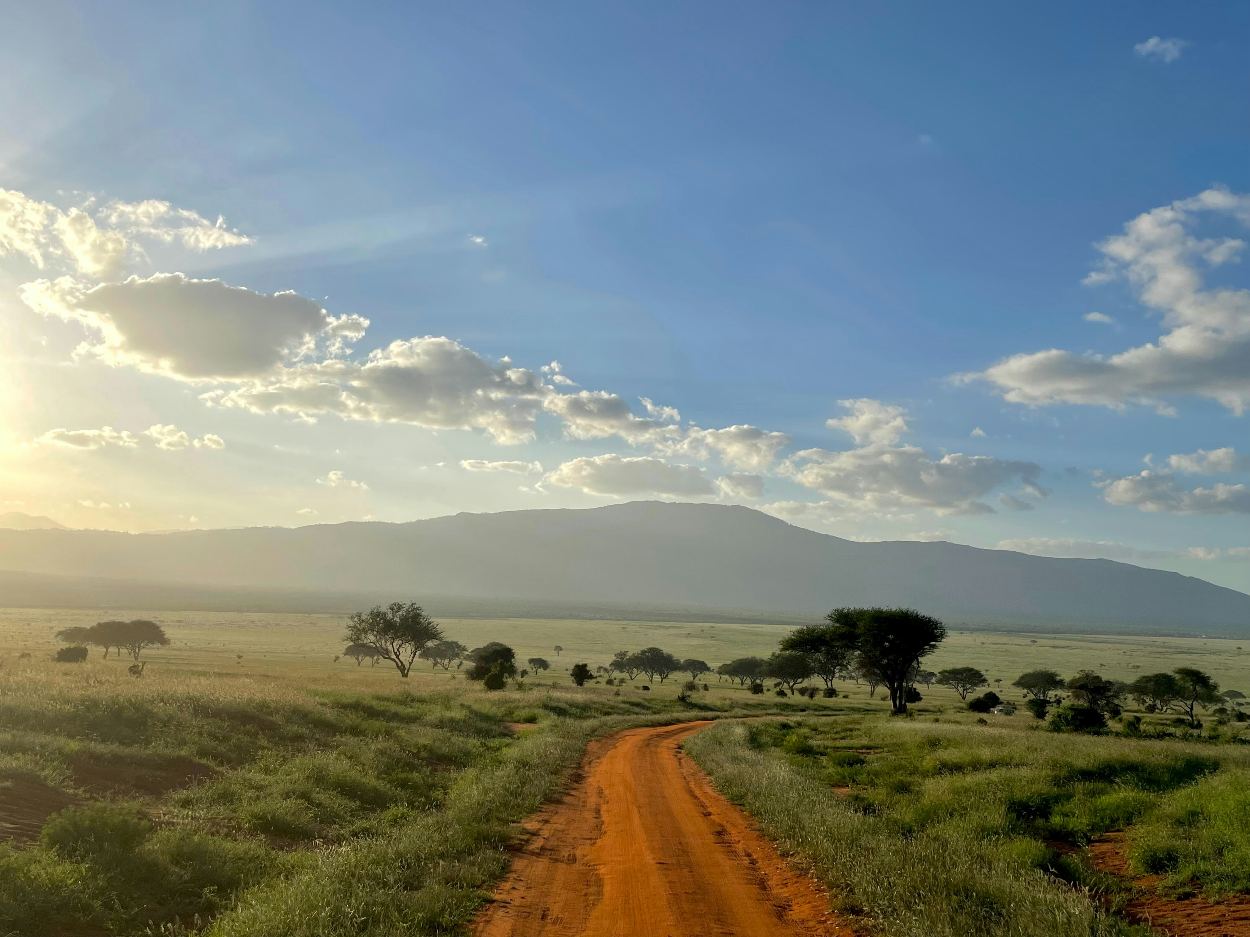 Mont Kilimandjaro (Tanzanie, Afrique de l'Est)