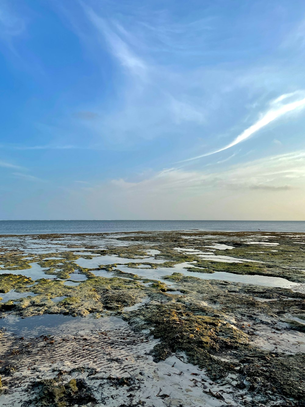 a view of a body of water with a sky in the background