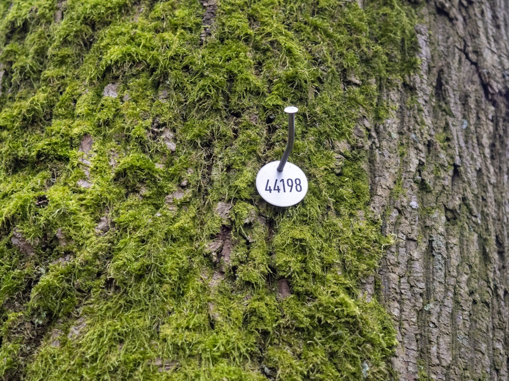 ein Schild, das sich an der Seite eines Baumes befindet